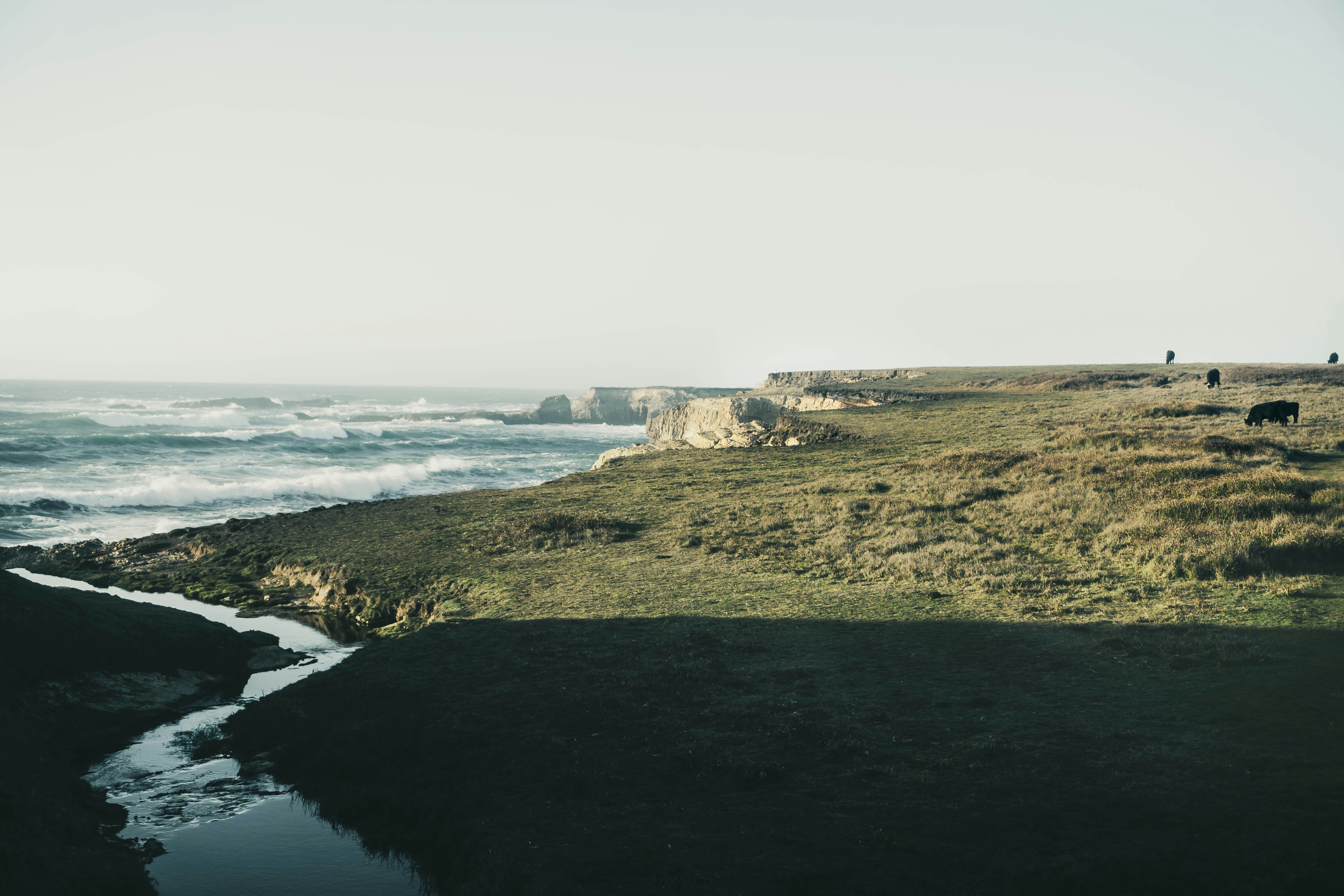 a grassy area next to a body of water