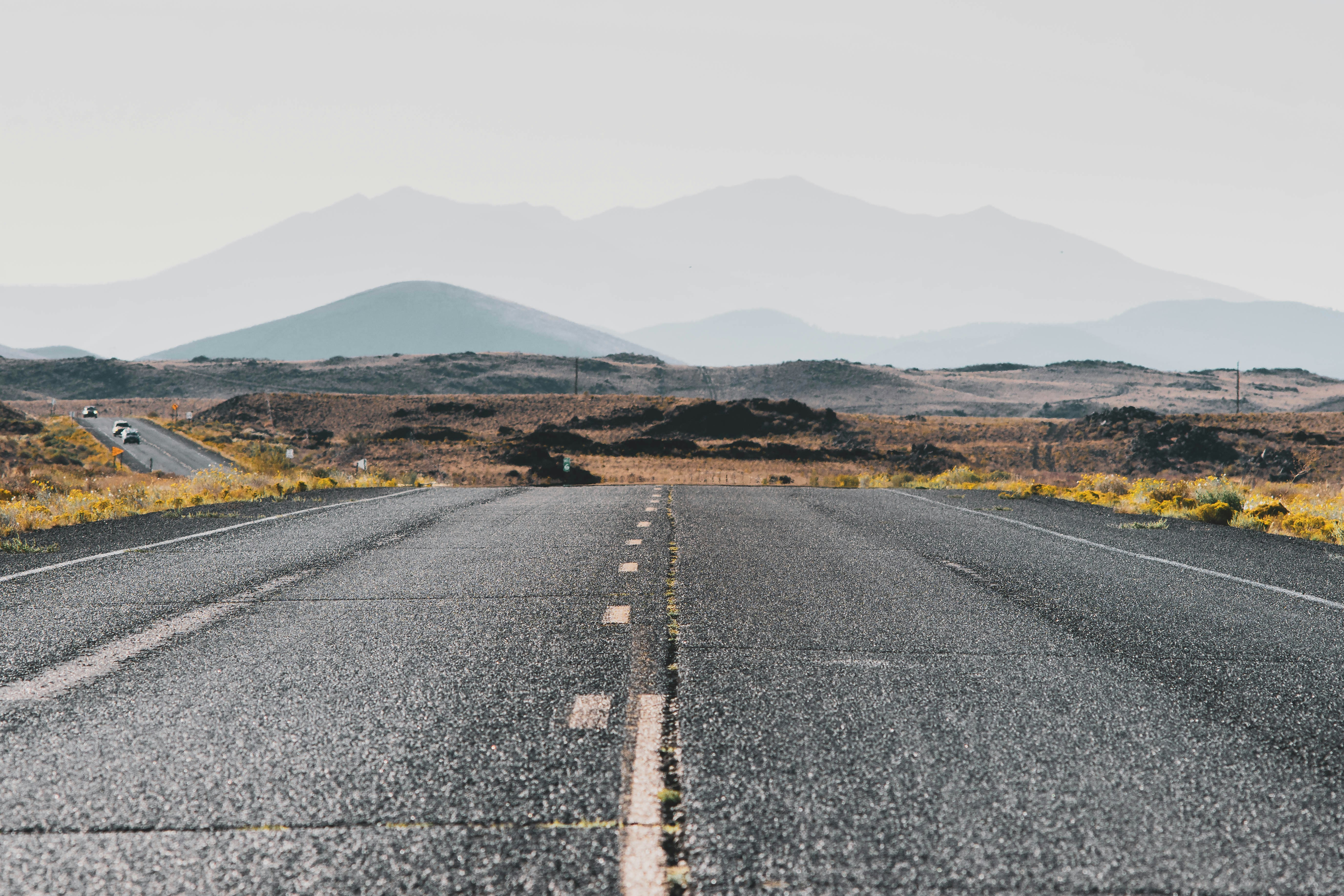 Photo by memory_terra