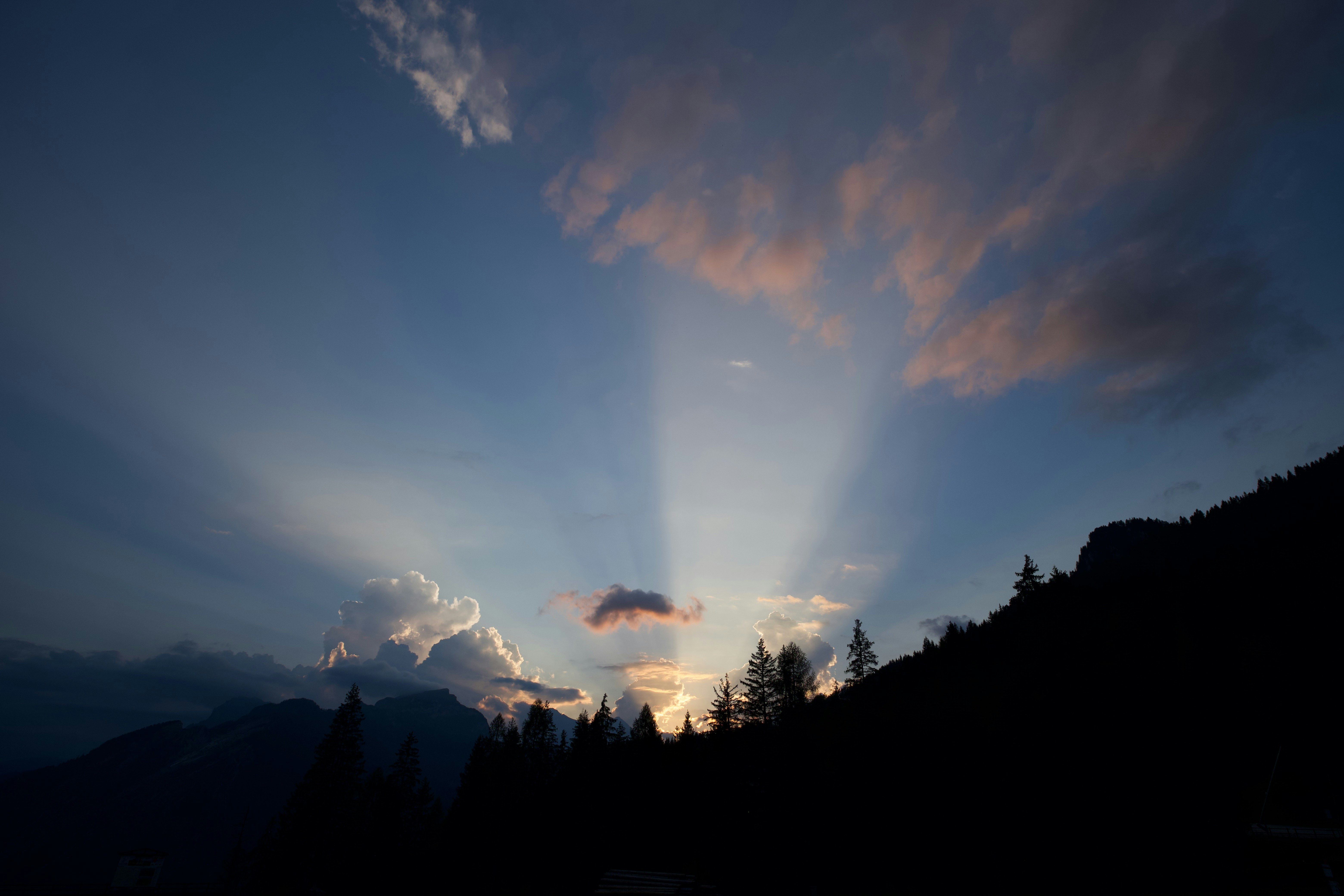 a landscape with trees and mountains