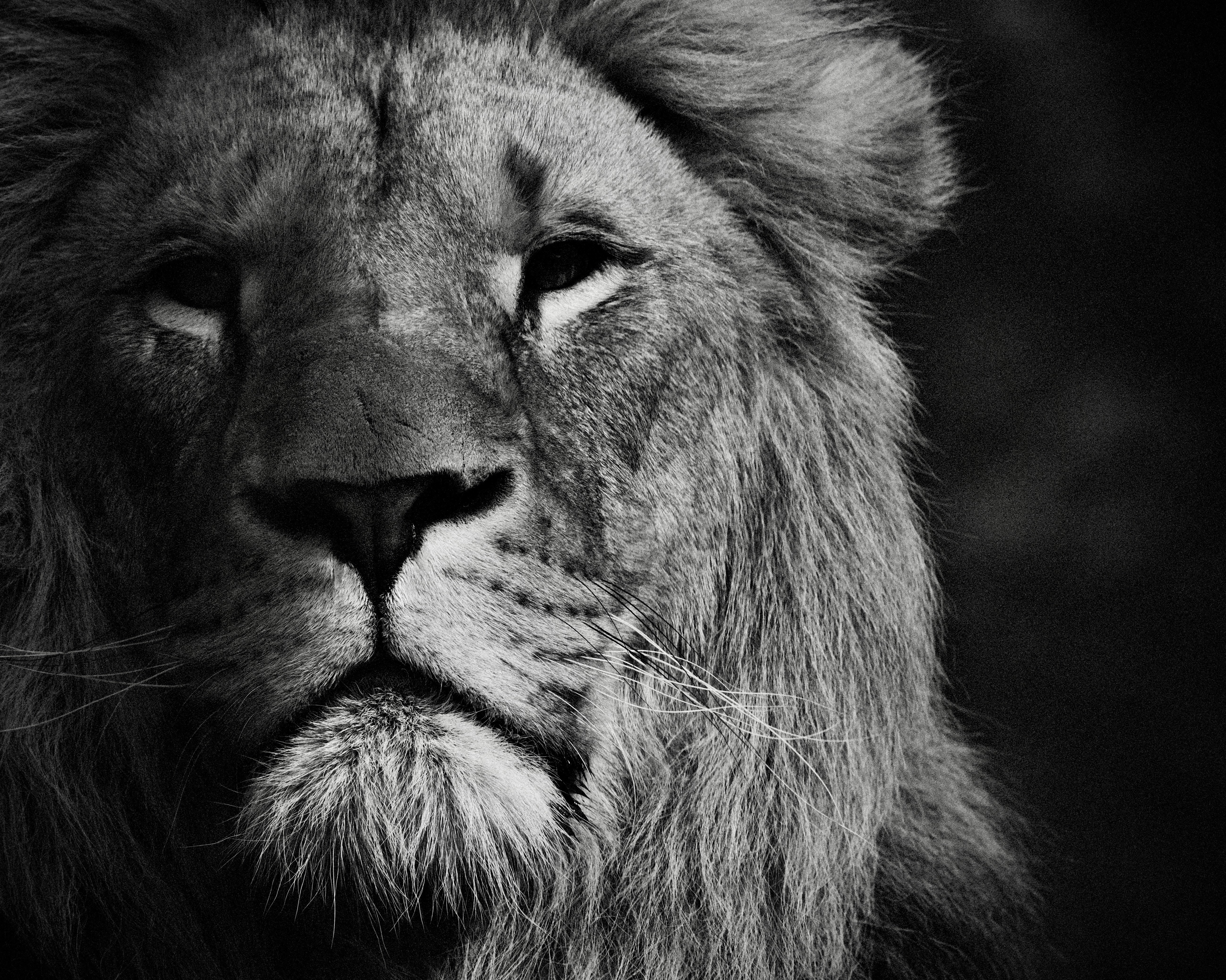 Photo by heerikhuize