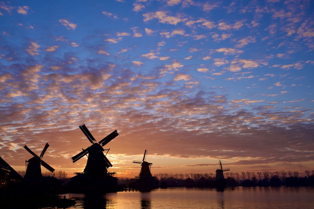 windmills in a field