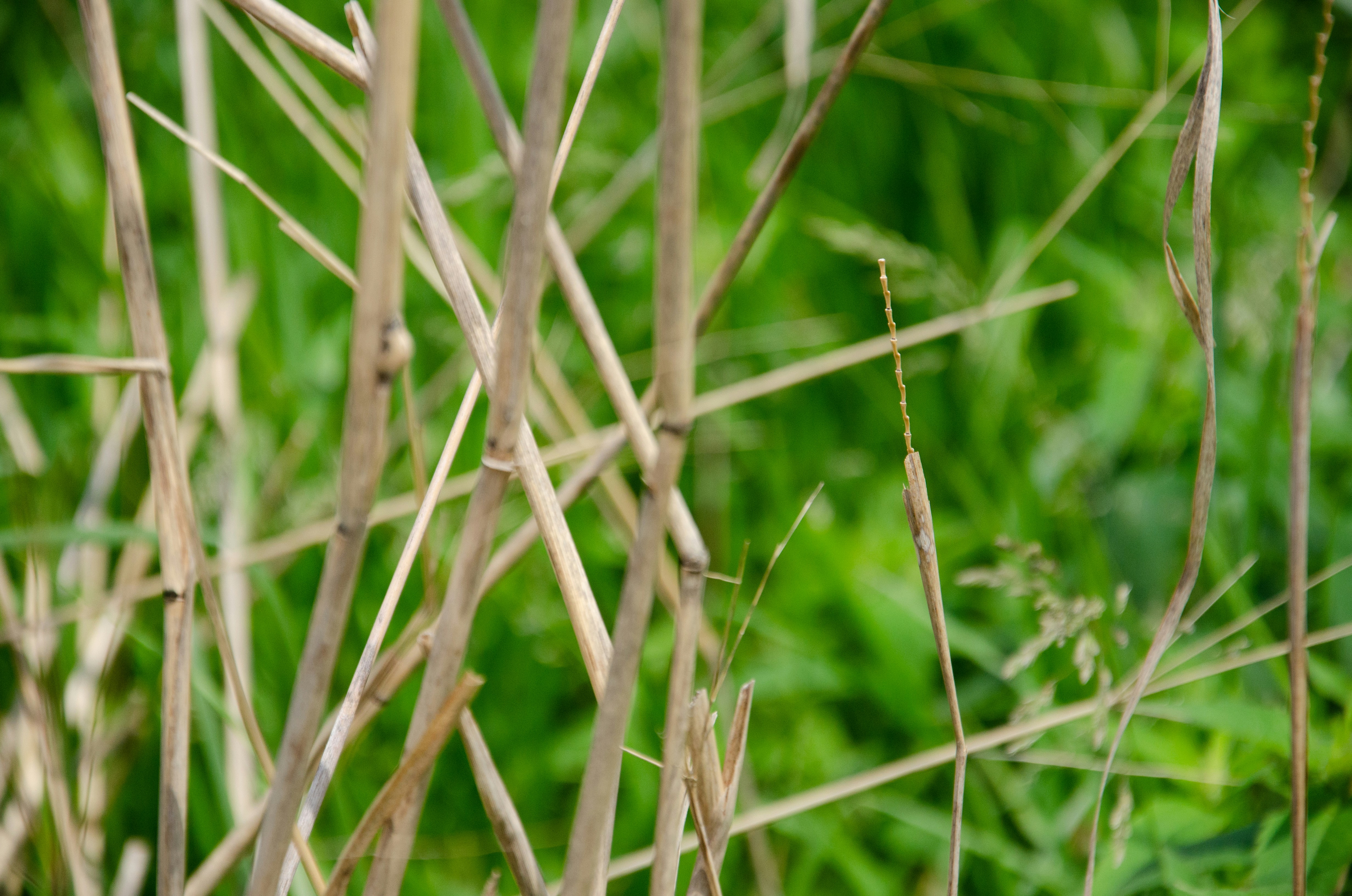 Photo by noah_eisfelder