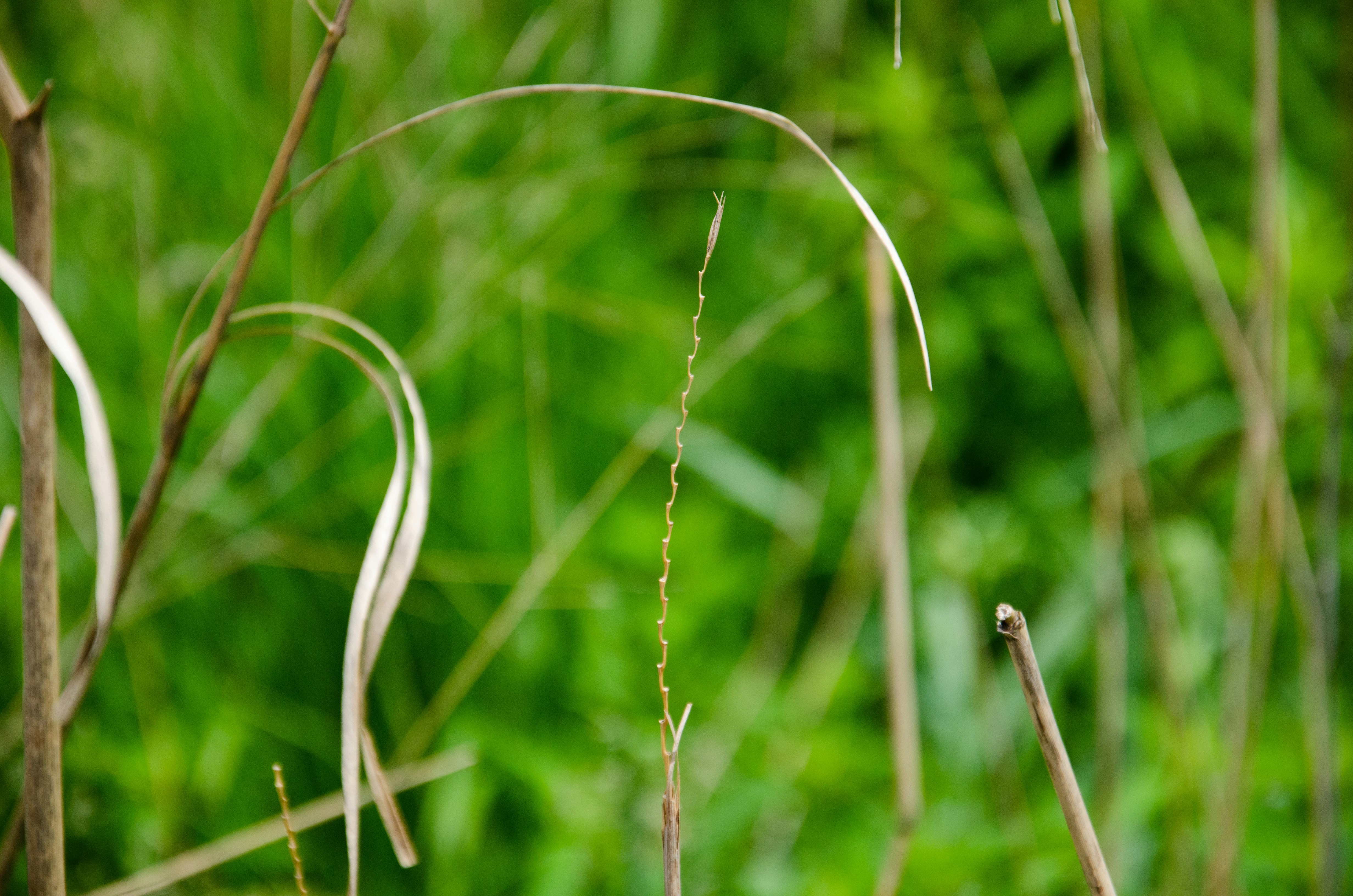 Photo by noah_eisfelder