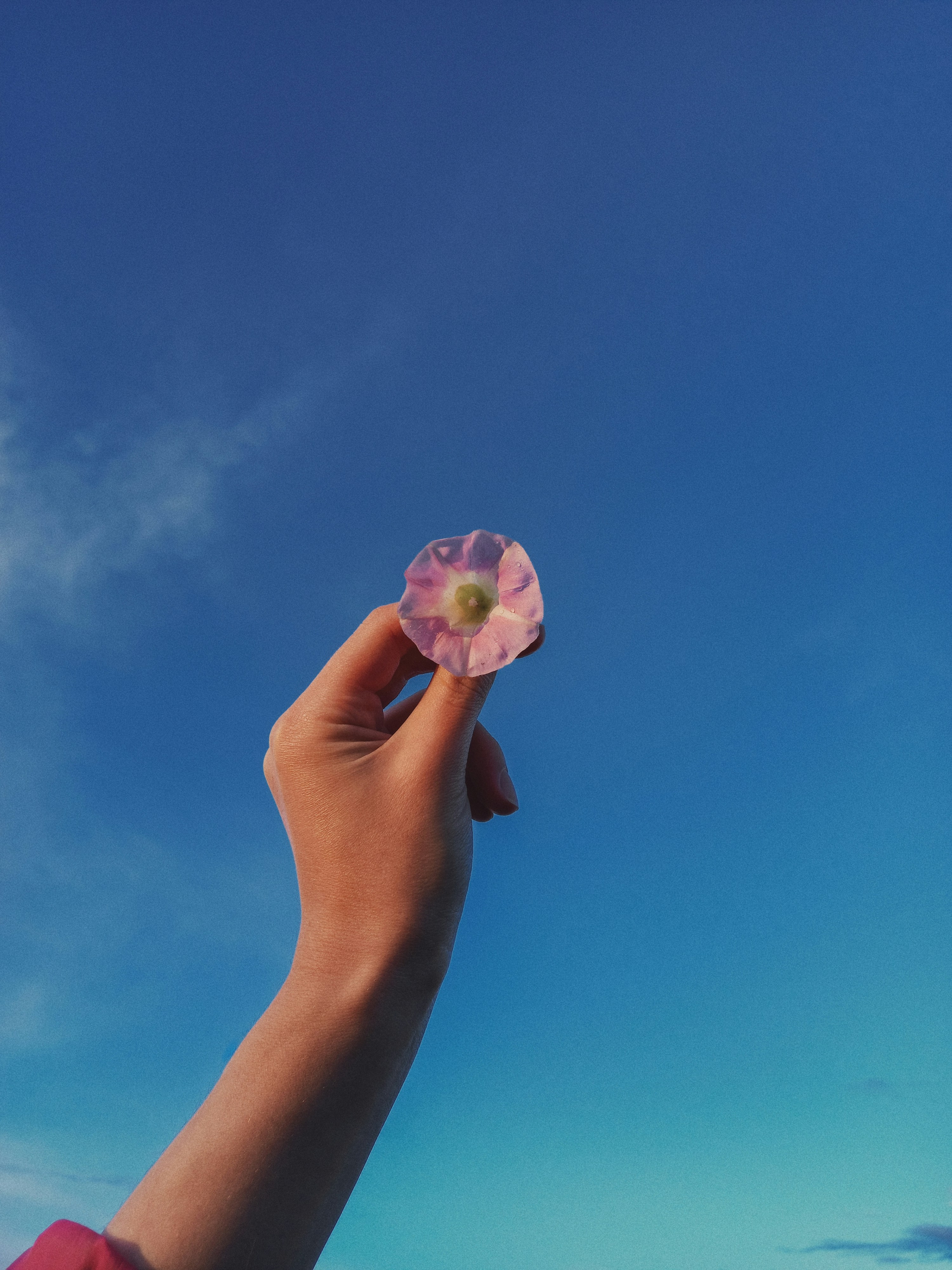 Photo by julies_v