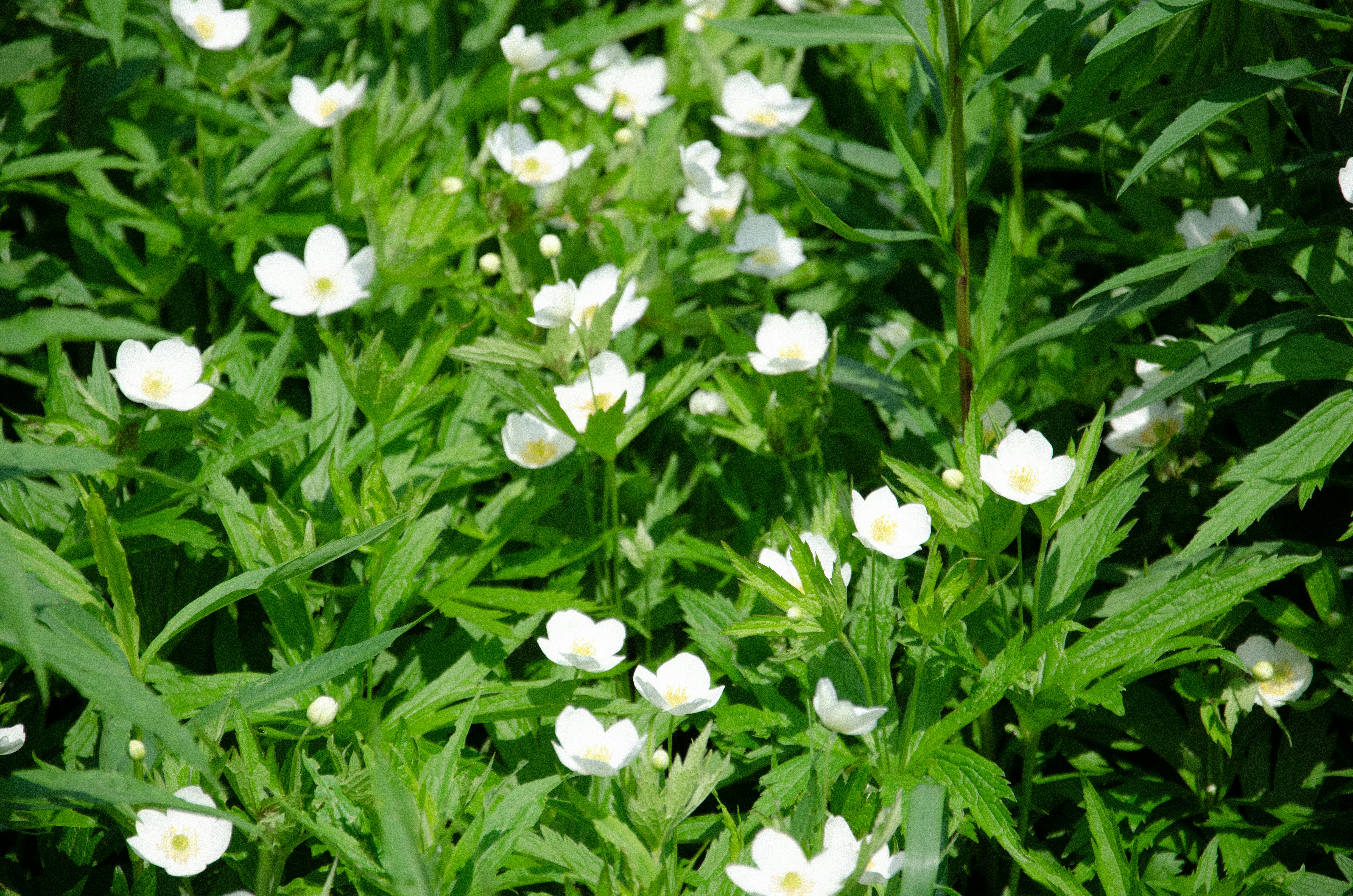 Photo by noah_eisfelder