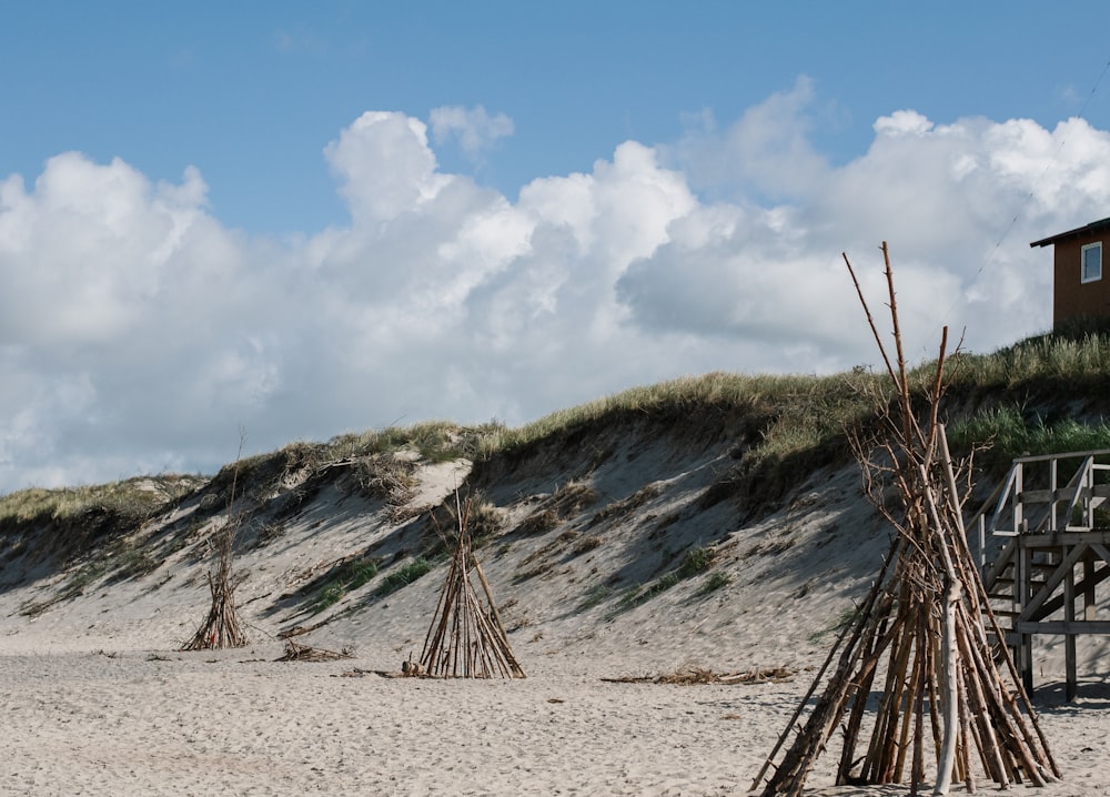 a sandy beach with a hill and trees