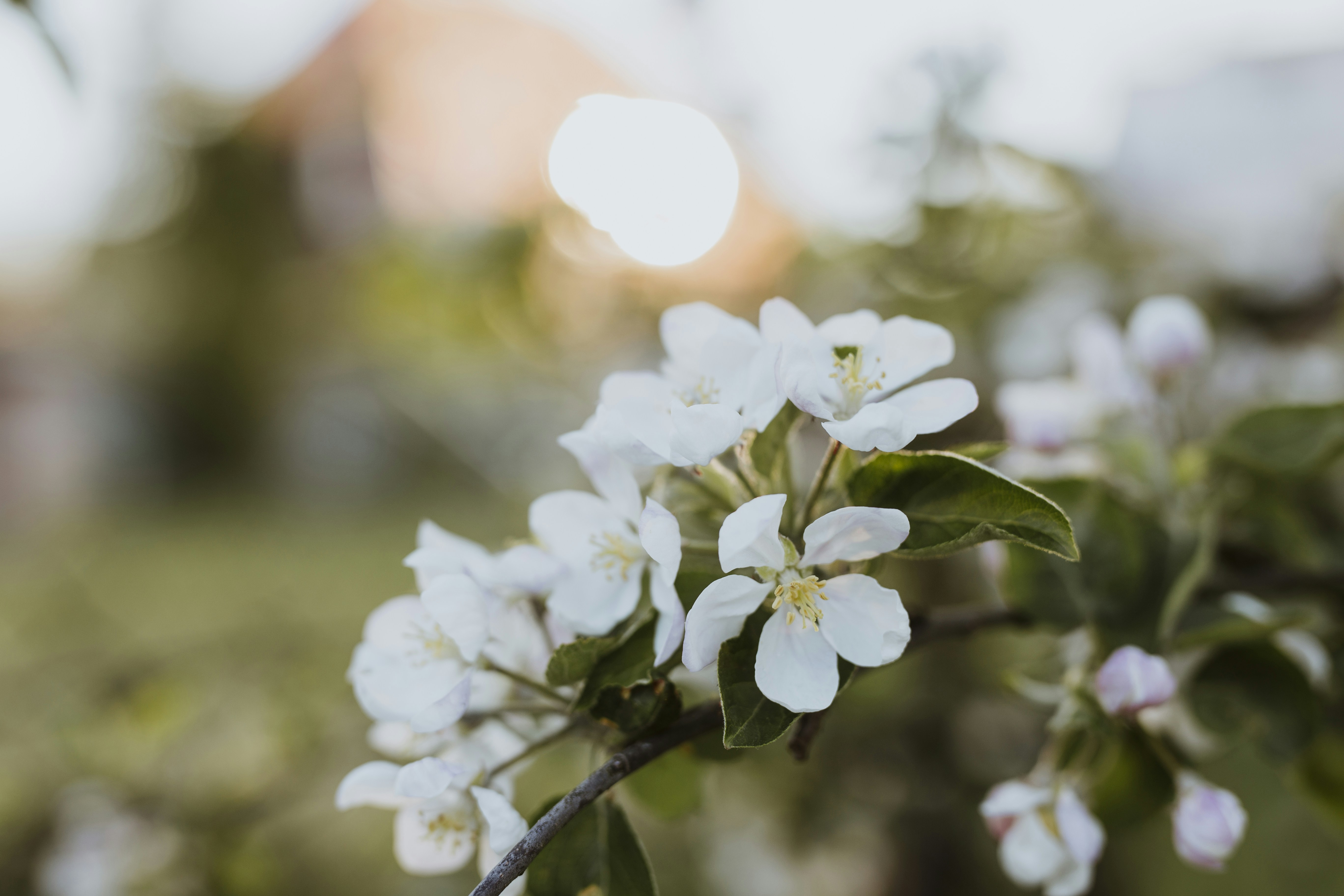 Photo by annabellalifestyle