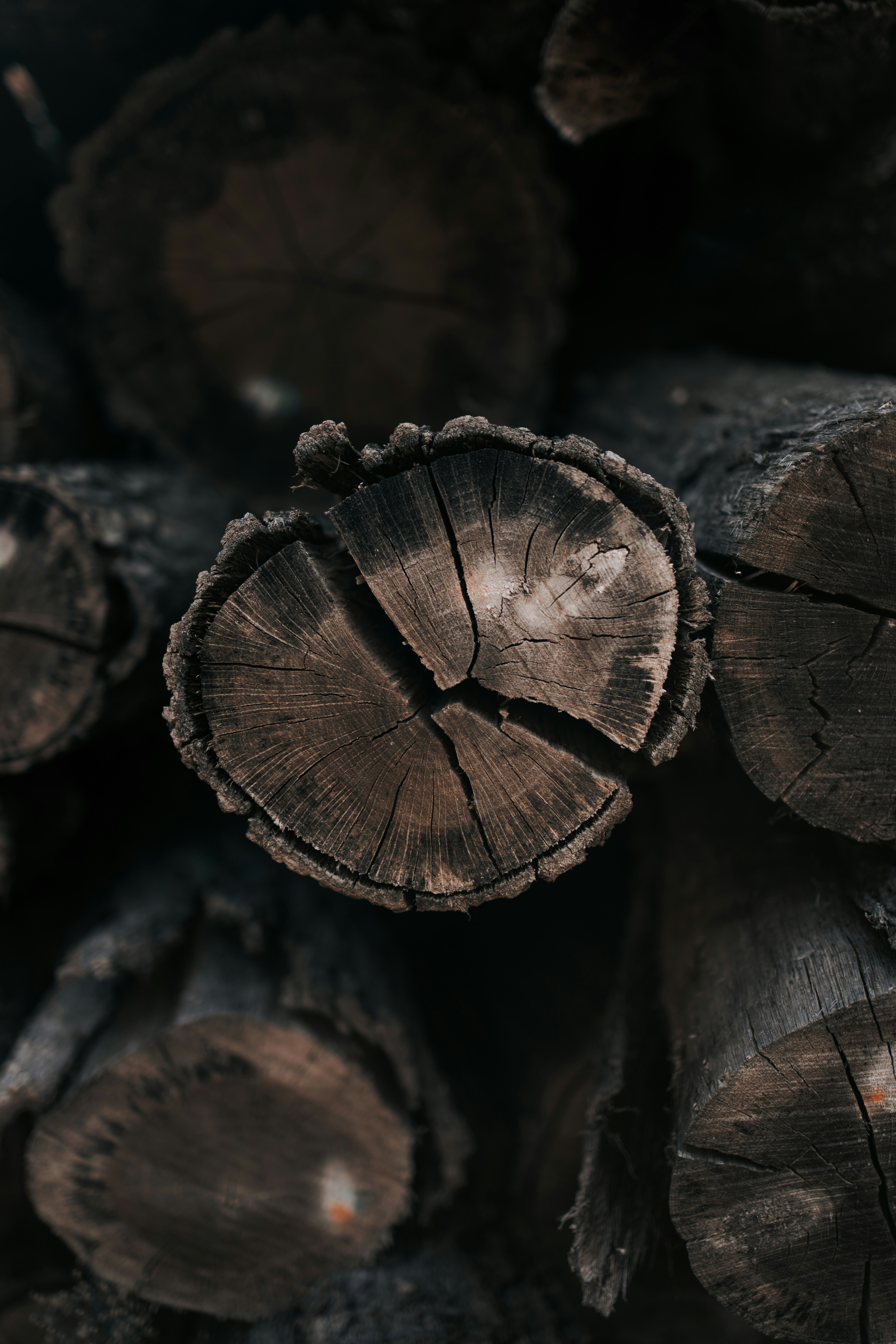 Photo by victor_vector