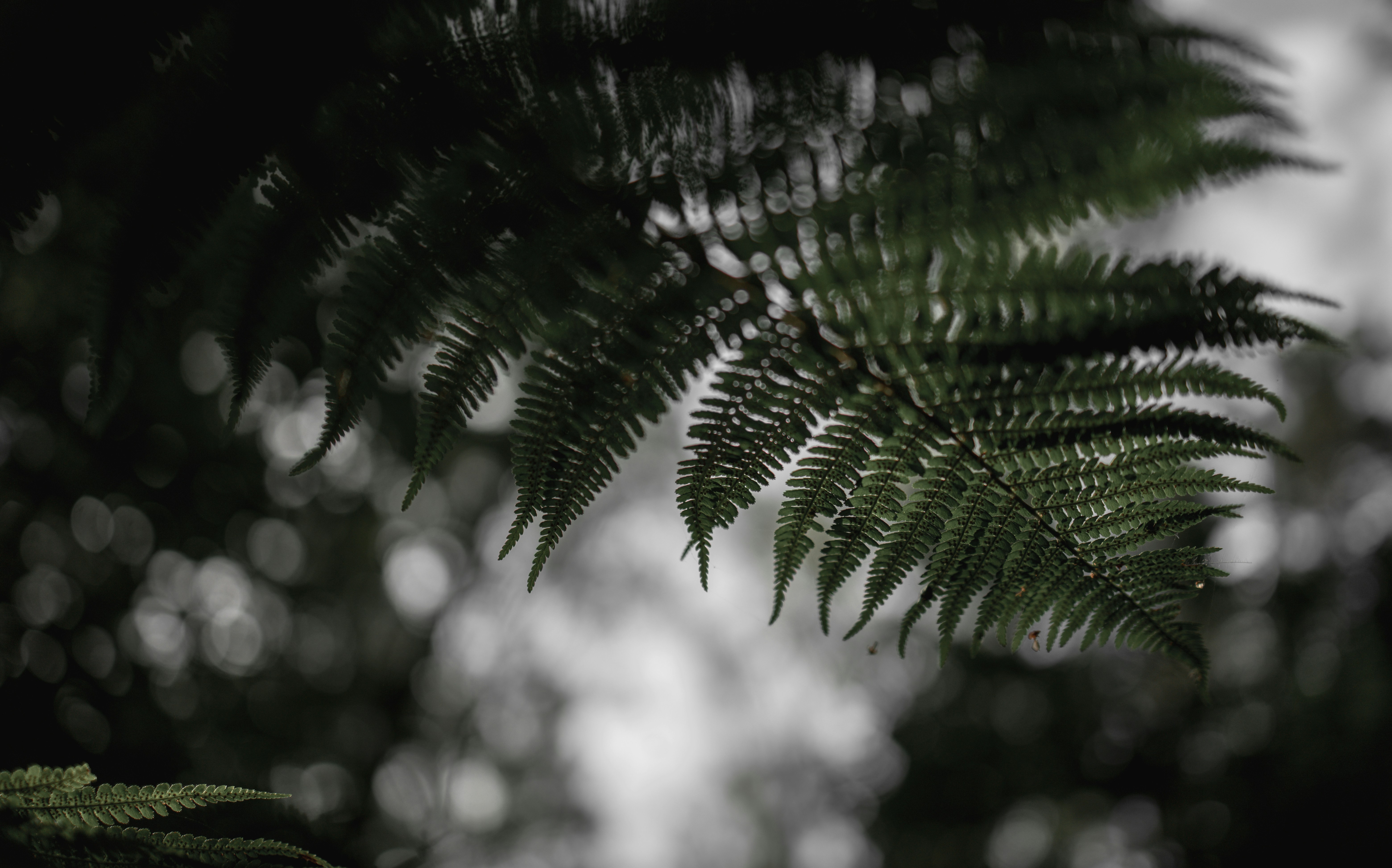 Photo by victor_vector