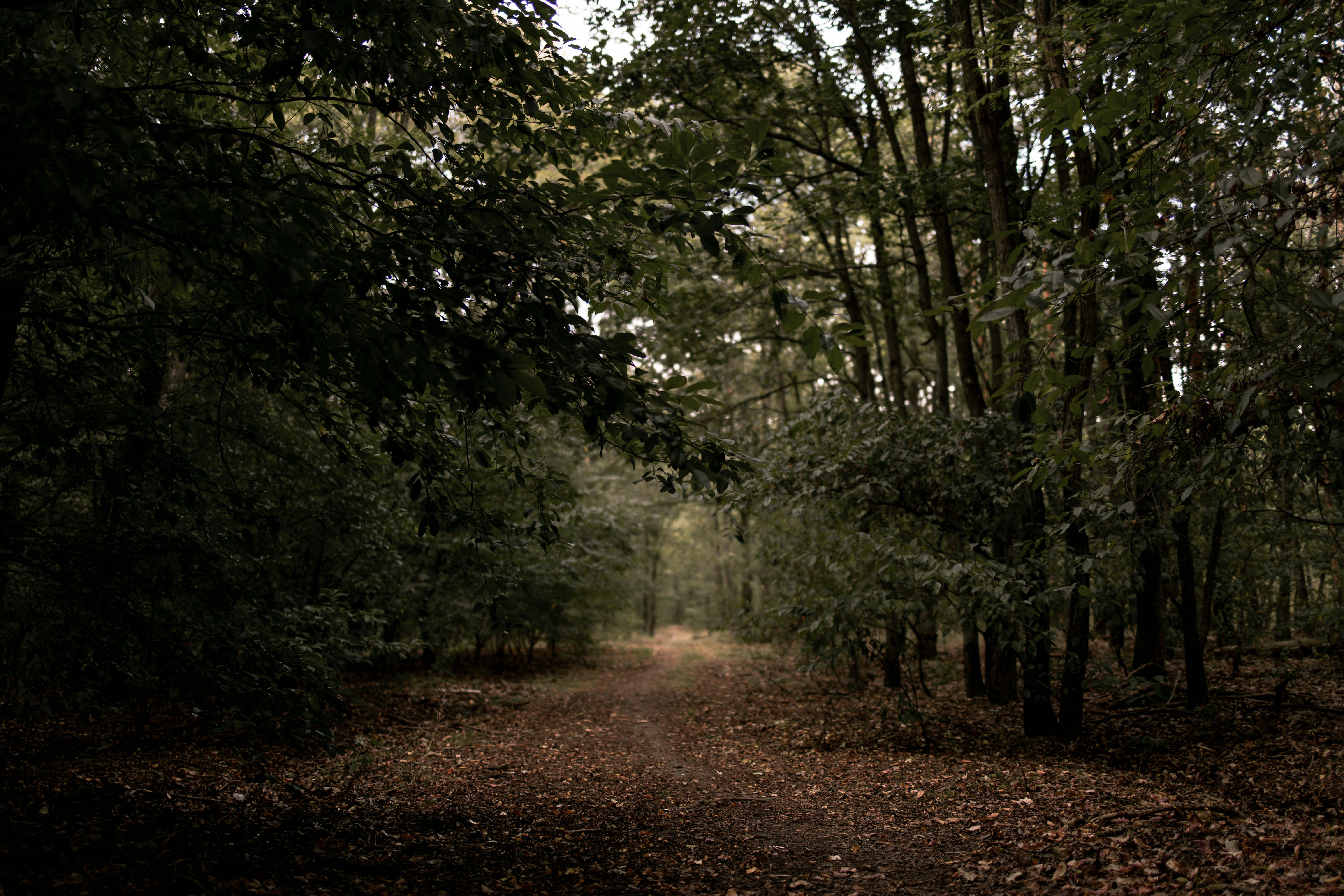 Photo by victor_vector