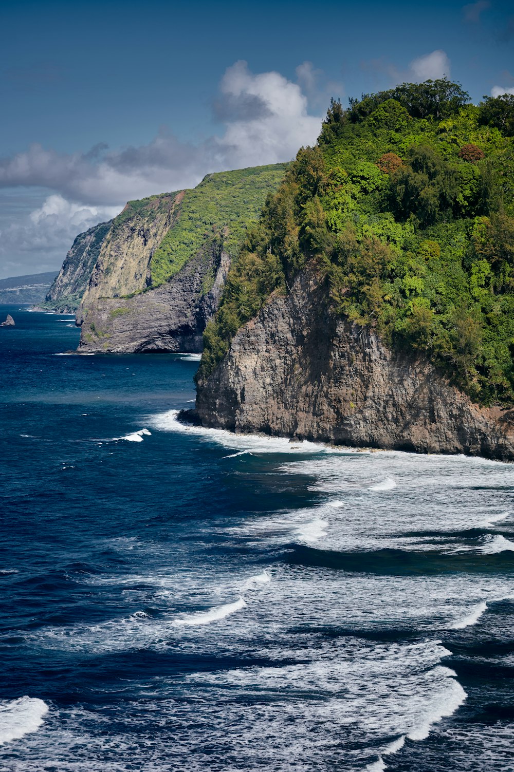 a cliff with trees on it