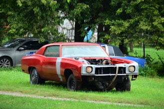 A red vintage car with visible rust and missing front parts is parked on a grassy lawn. The car appears to be an old model undergoing restoration or used for scrap. In the background, there are trees and another vehicle partially visible.