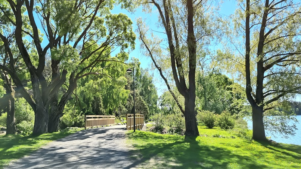 a path through a park