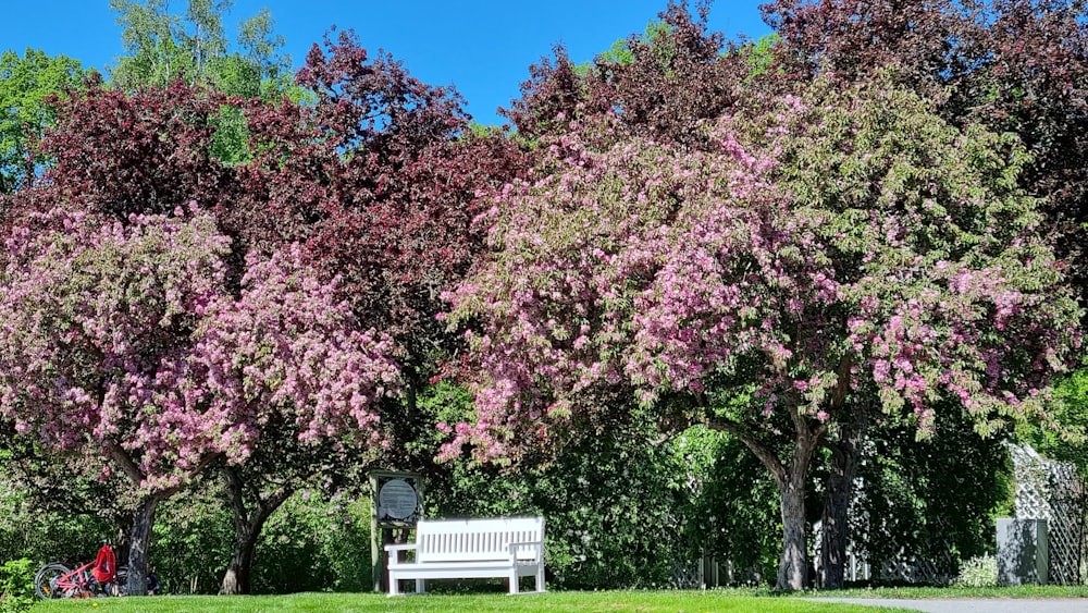 a bench in a park