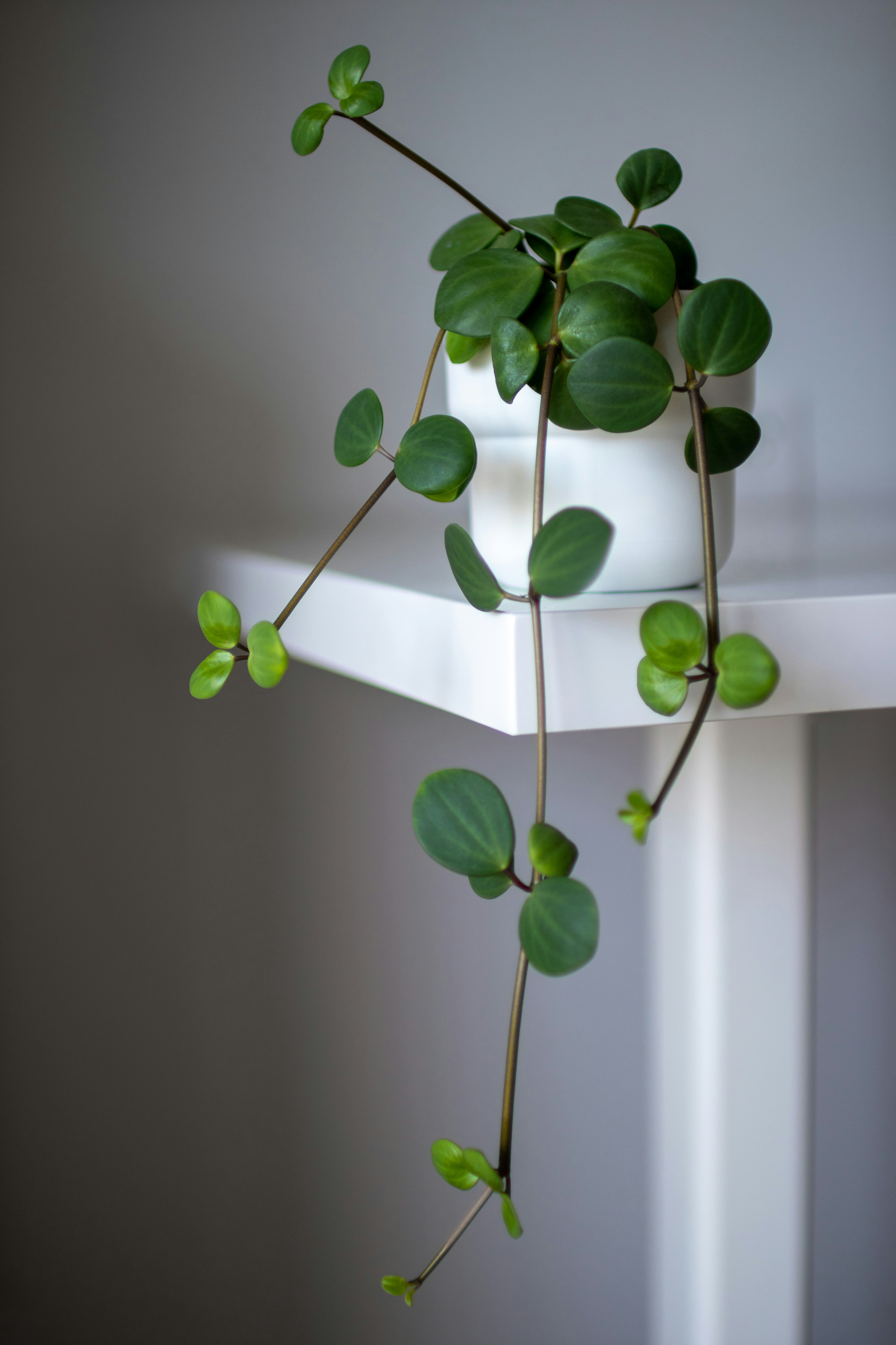 Photo by patrycja_chociej