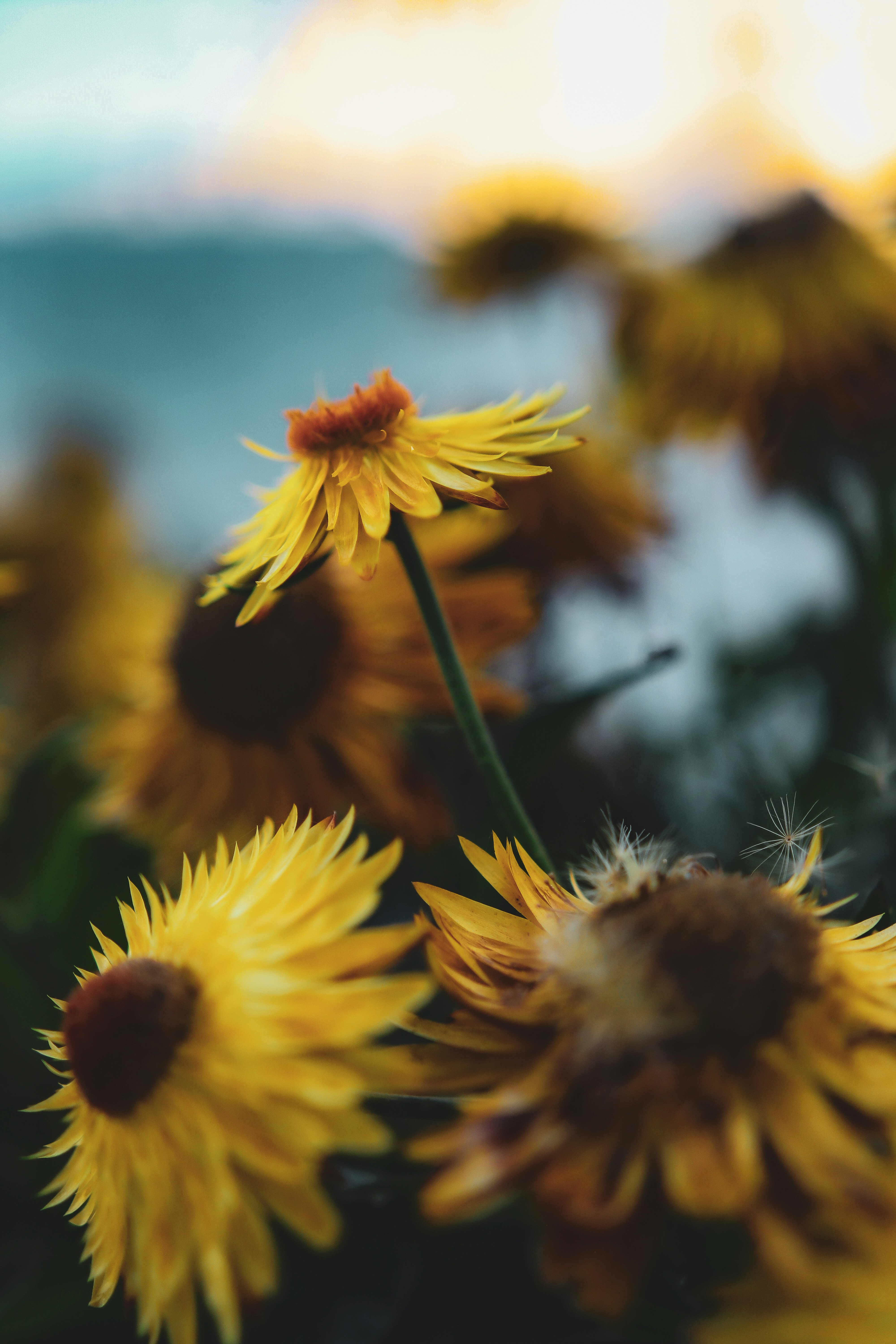 Photo by patrycja_chociej