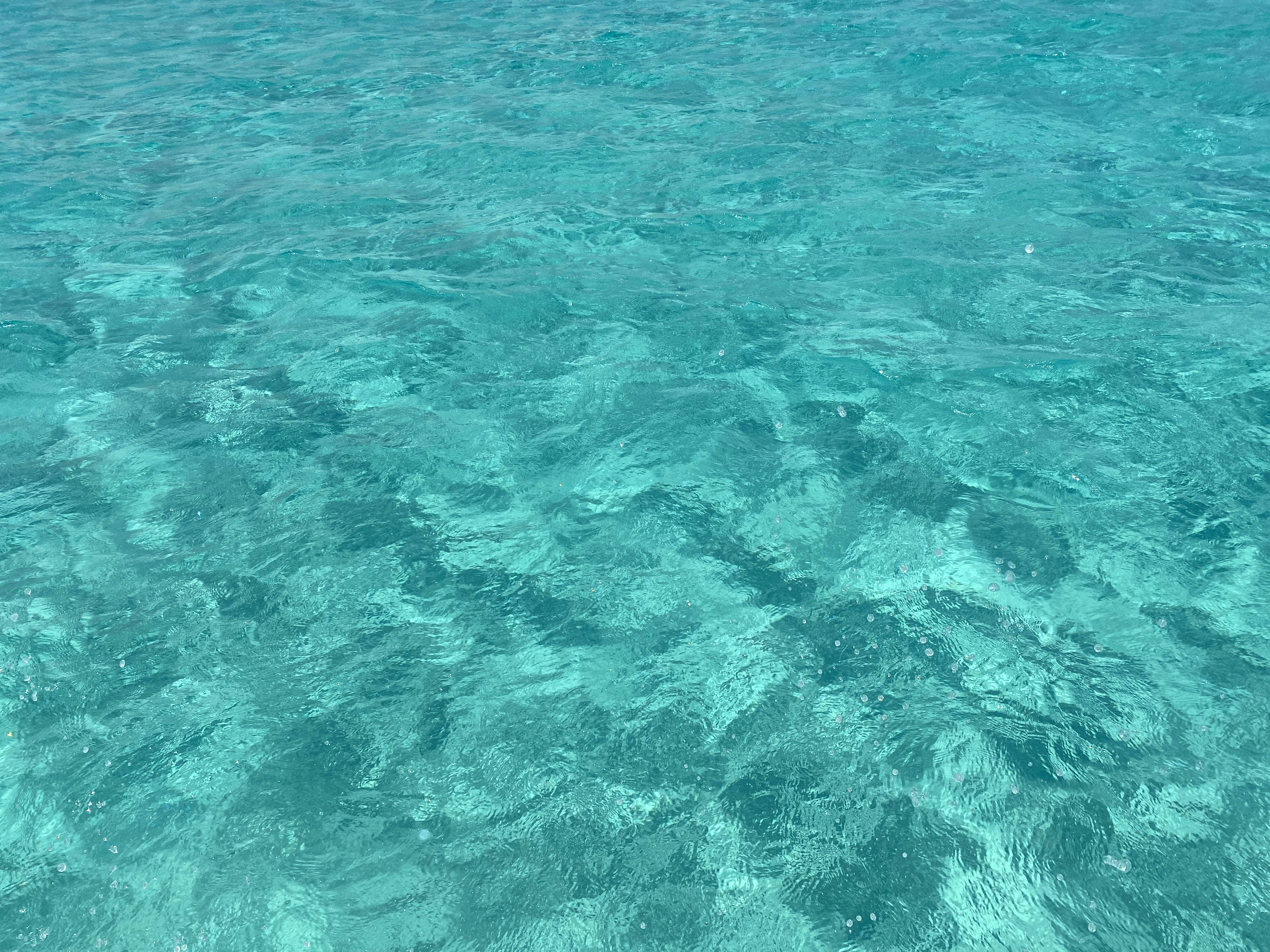 Photo by rokayaaaaaa