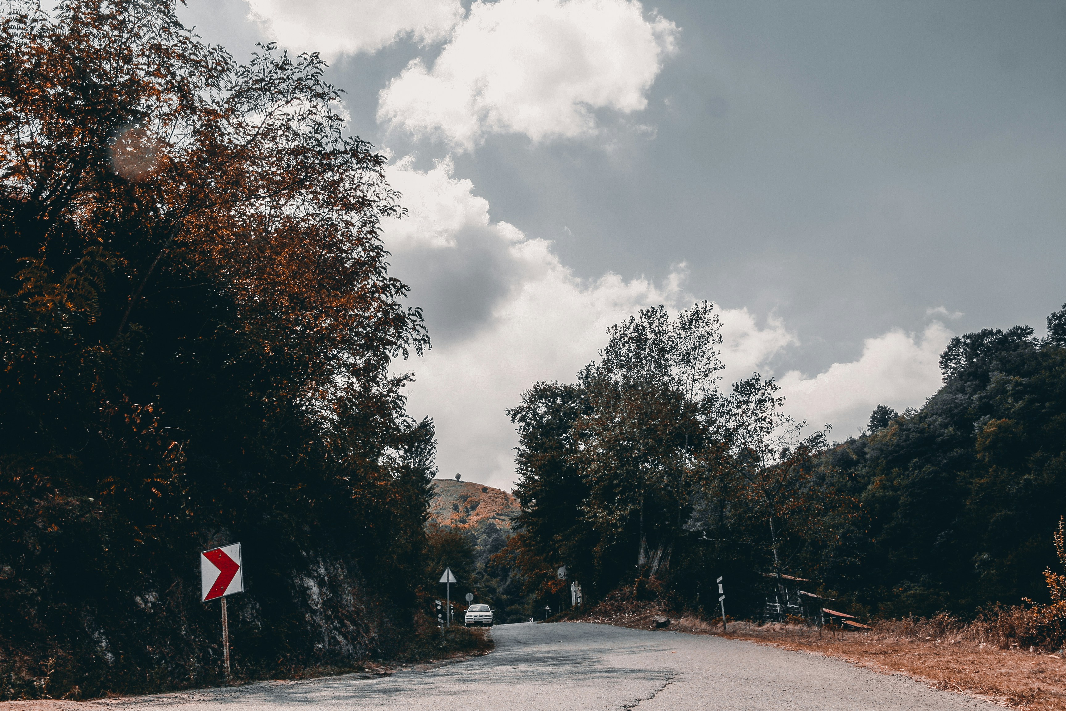 Photo by bita_eskandari