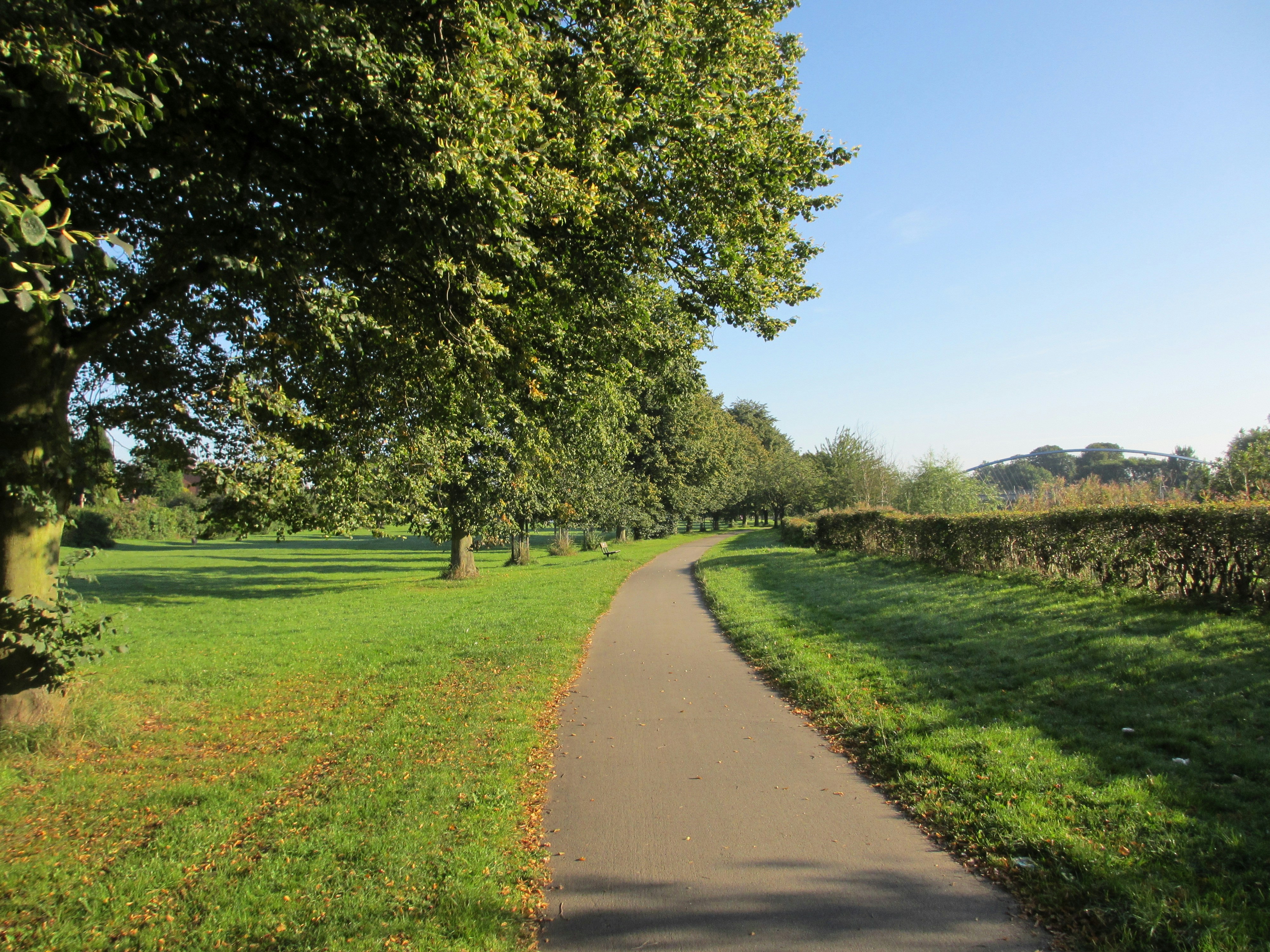 Photo by horacio_kinori