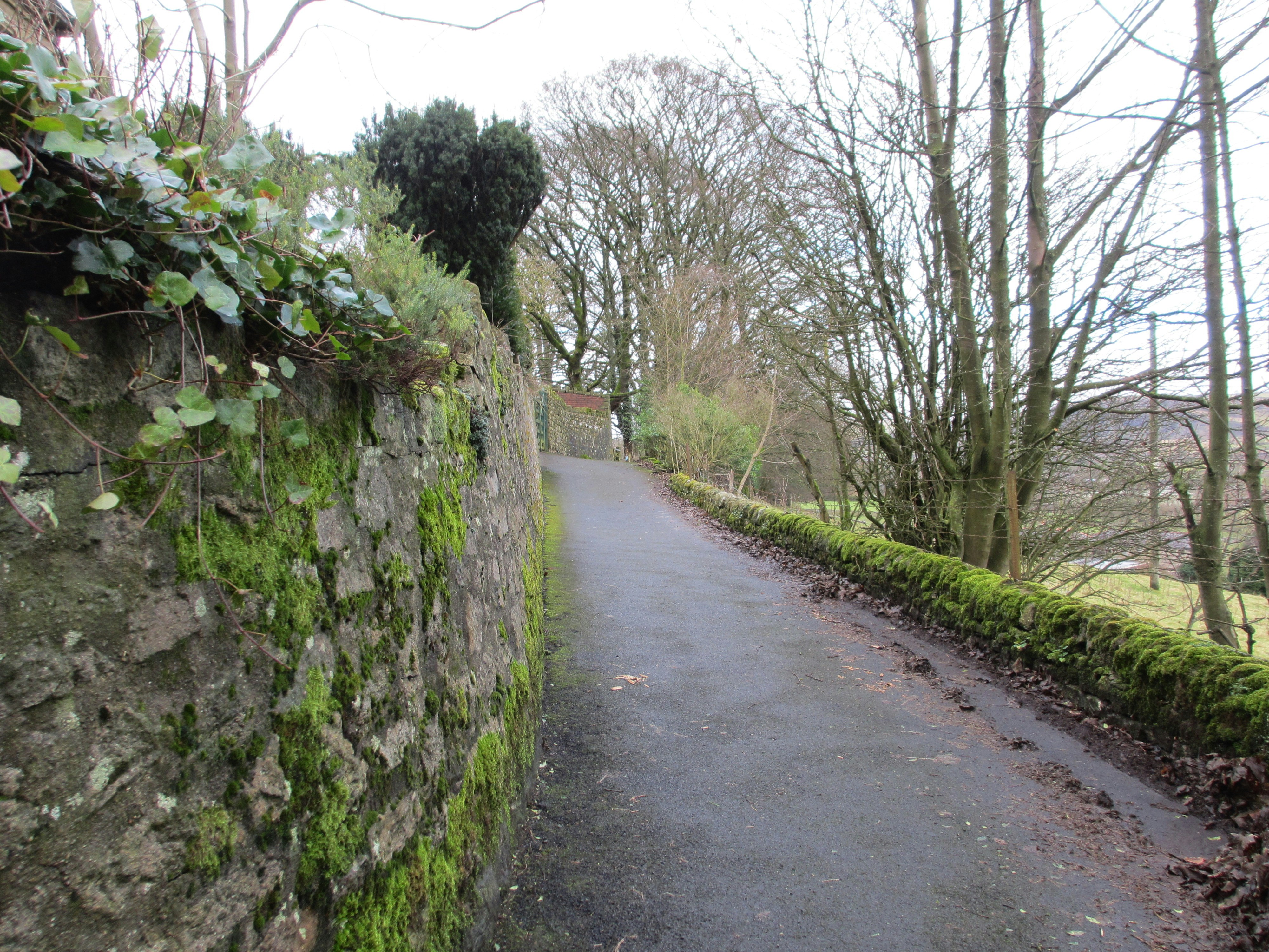 Photo by horacio_kinori