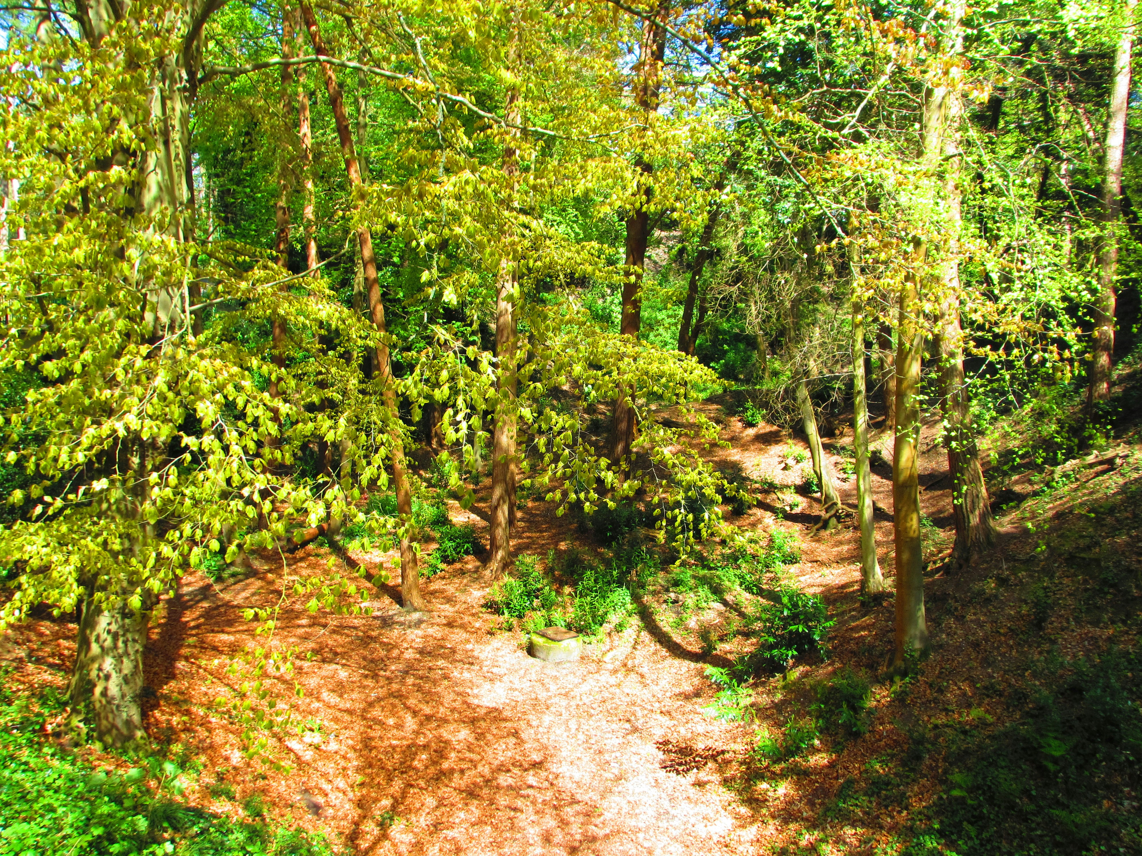 Photo by horacio_kinori