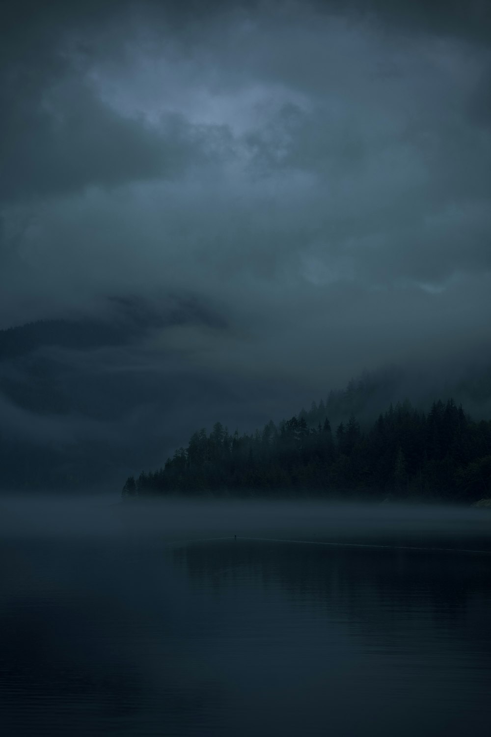 Un lac avec des arbres et du brouillard