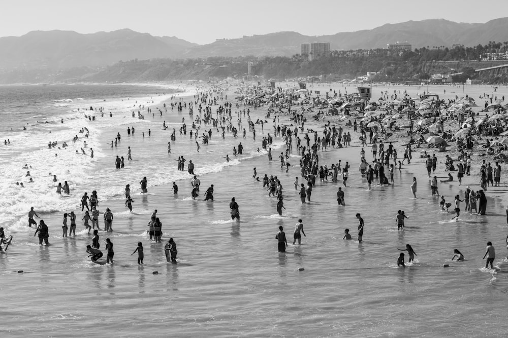 a large group of people on a beach