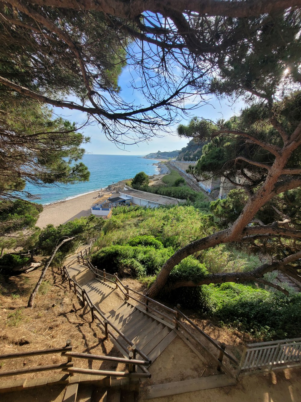 a view of a beach and ocean from a tree