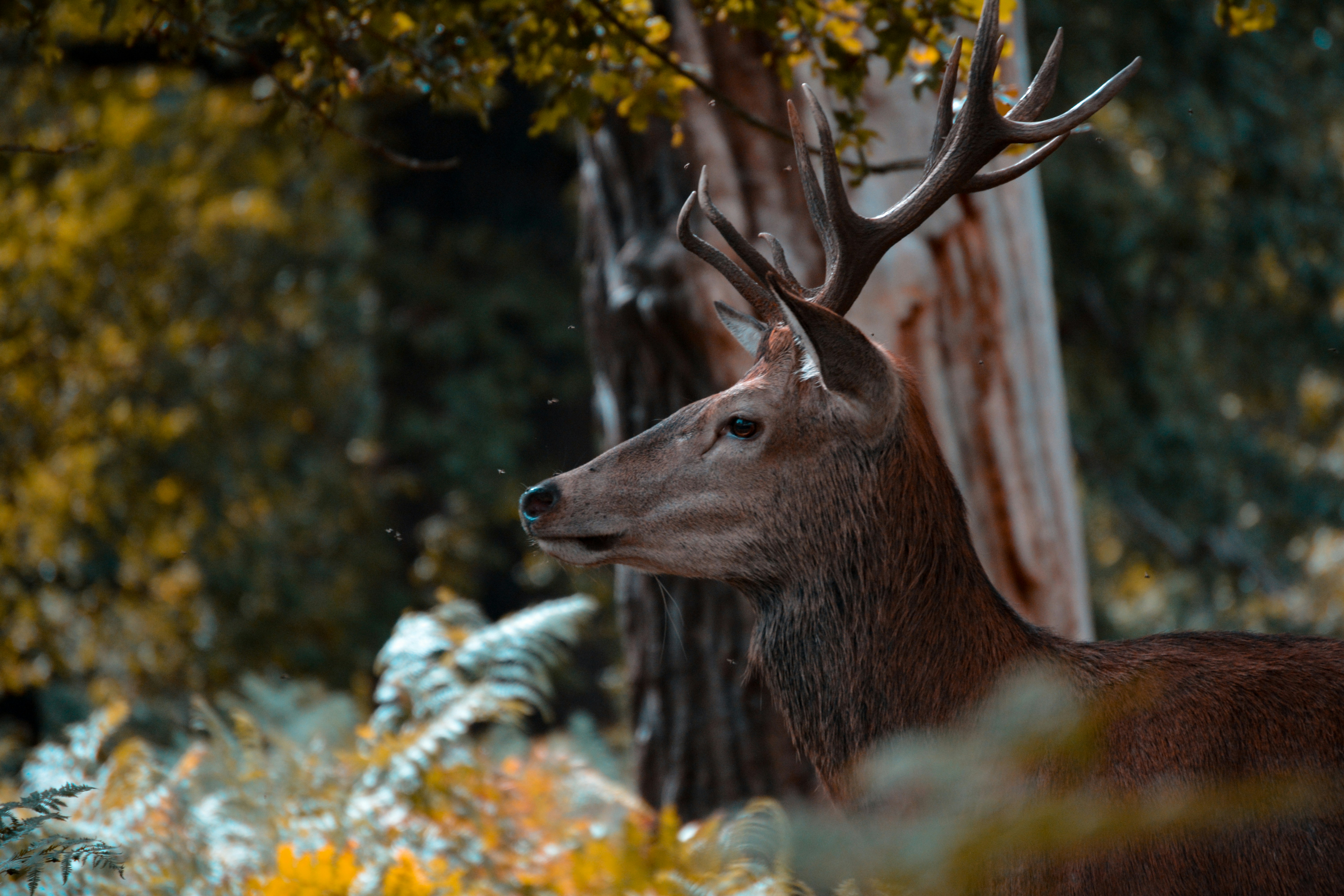 Photo by aftab_ansar