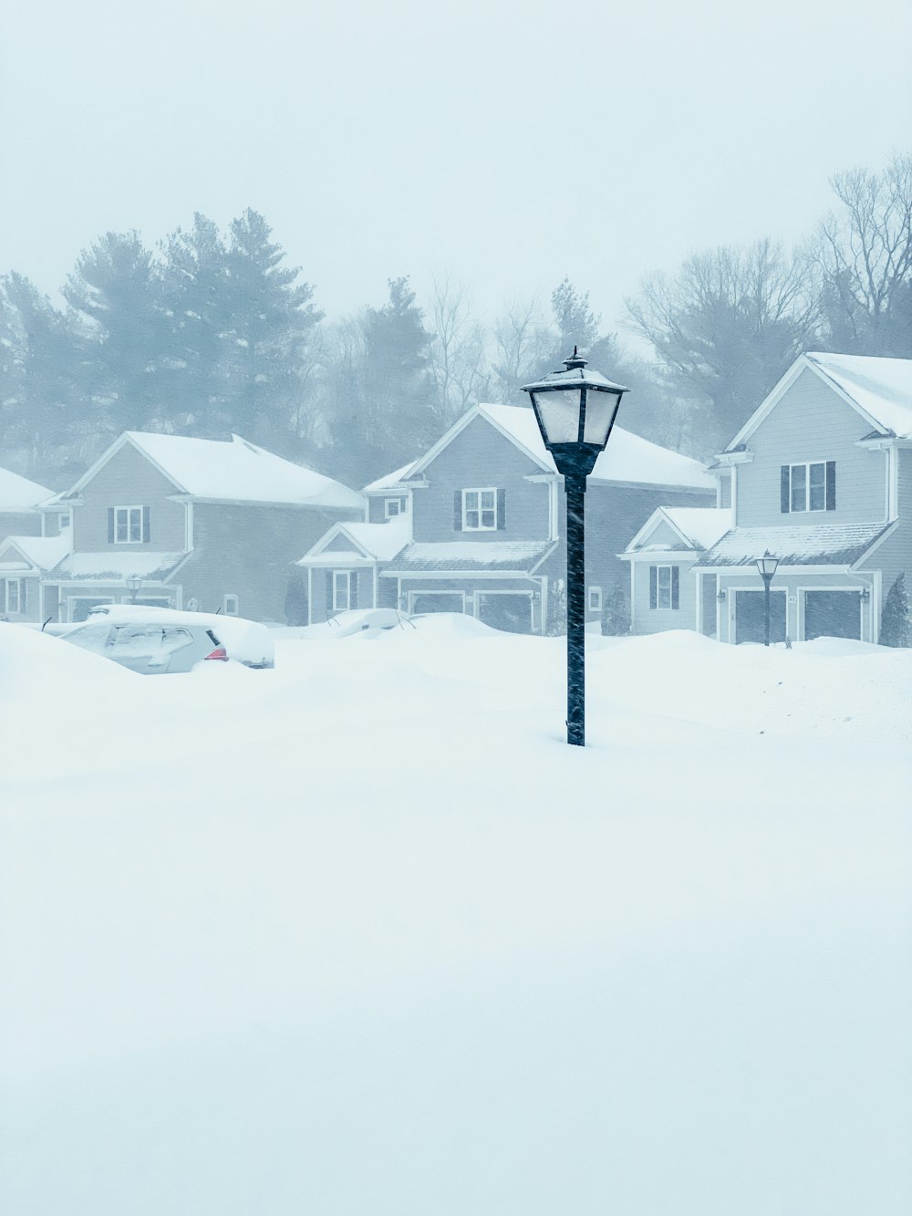 a snow covered street lamp in a neighborhood