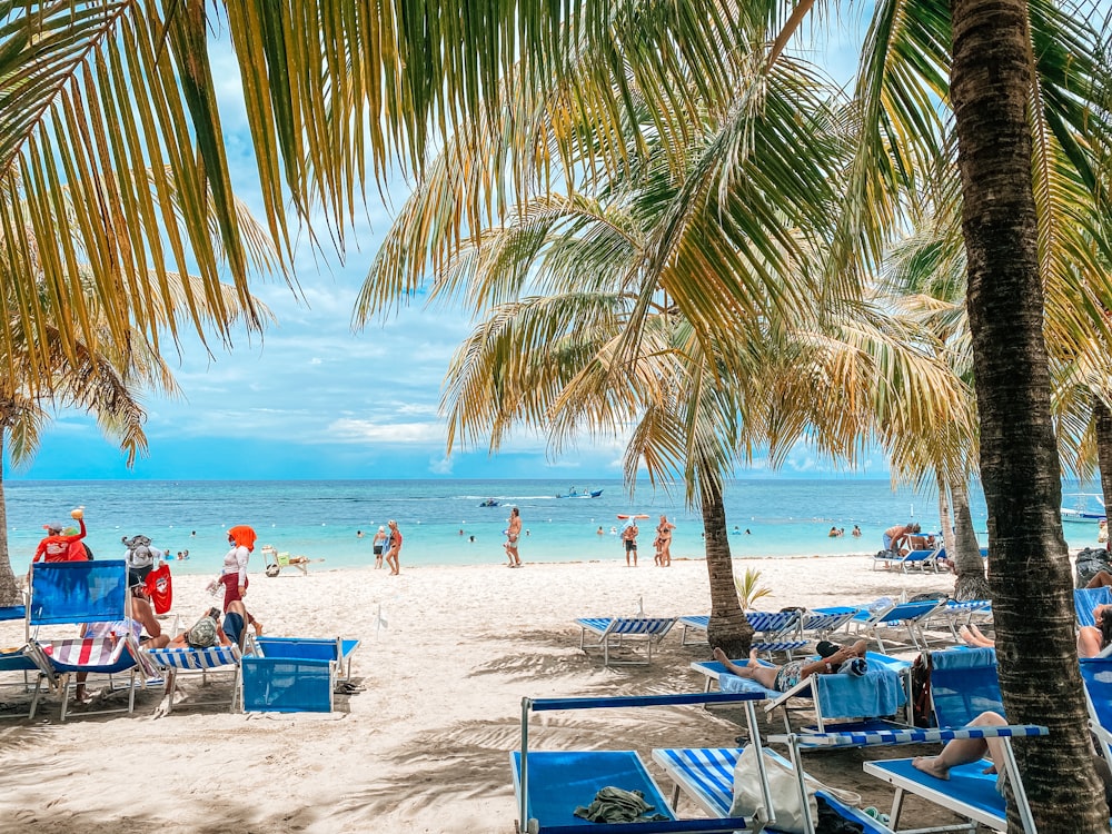 people on a beach