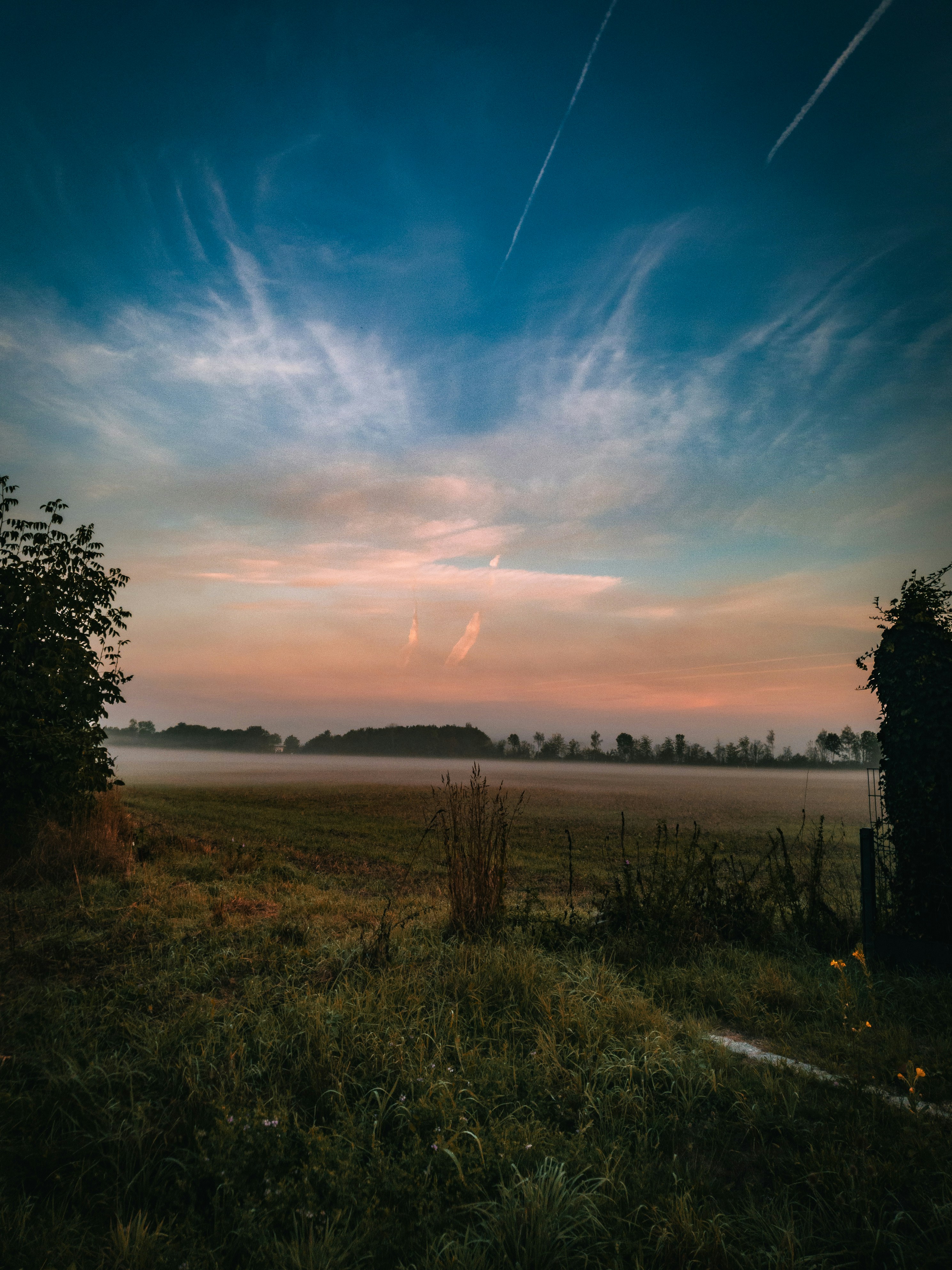 a field with a fence and trees in the background
