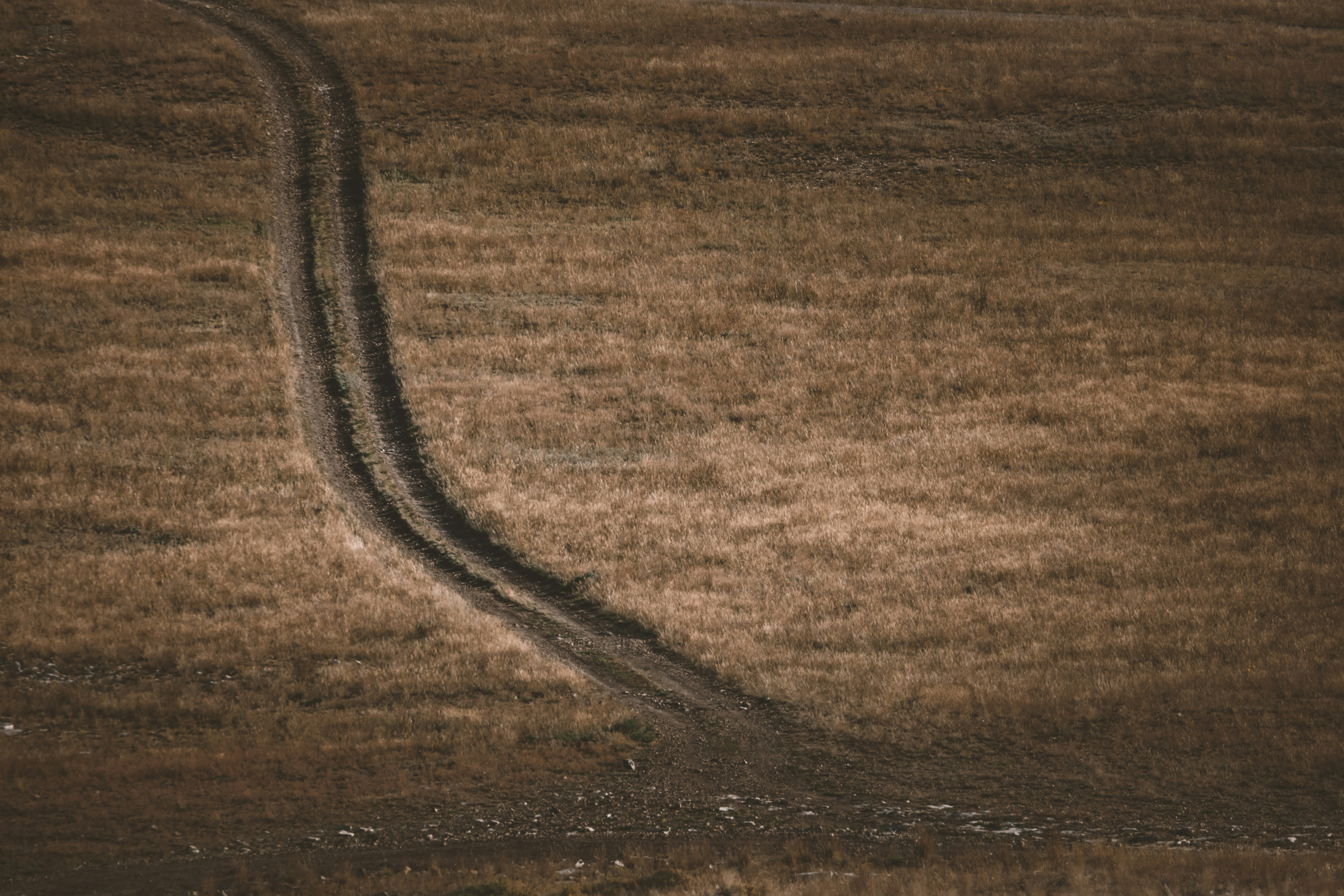 Photo by worldsbetweenlines