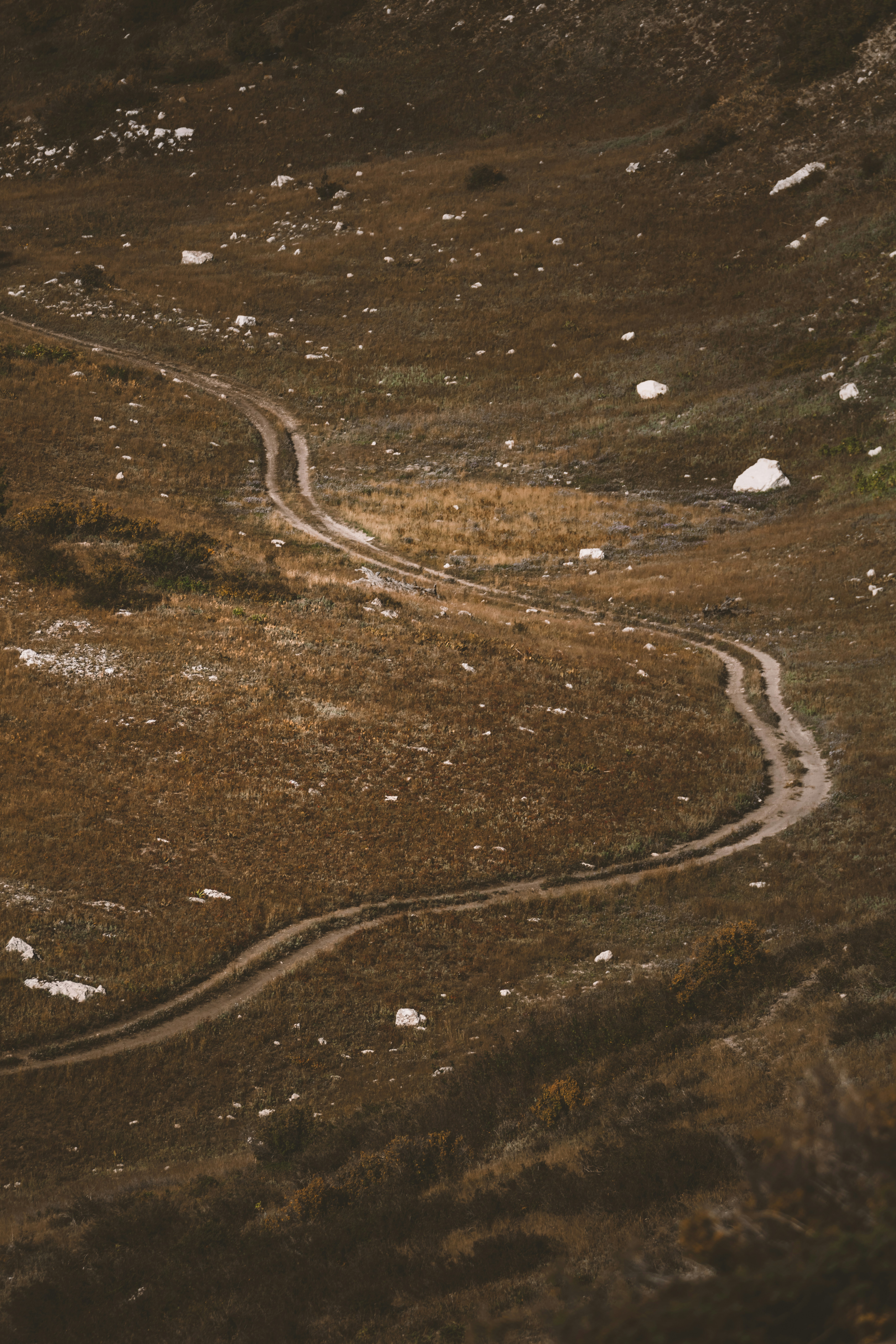 Photo by worldsbetweenlines