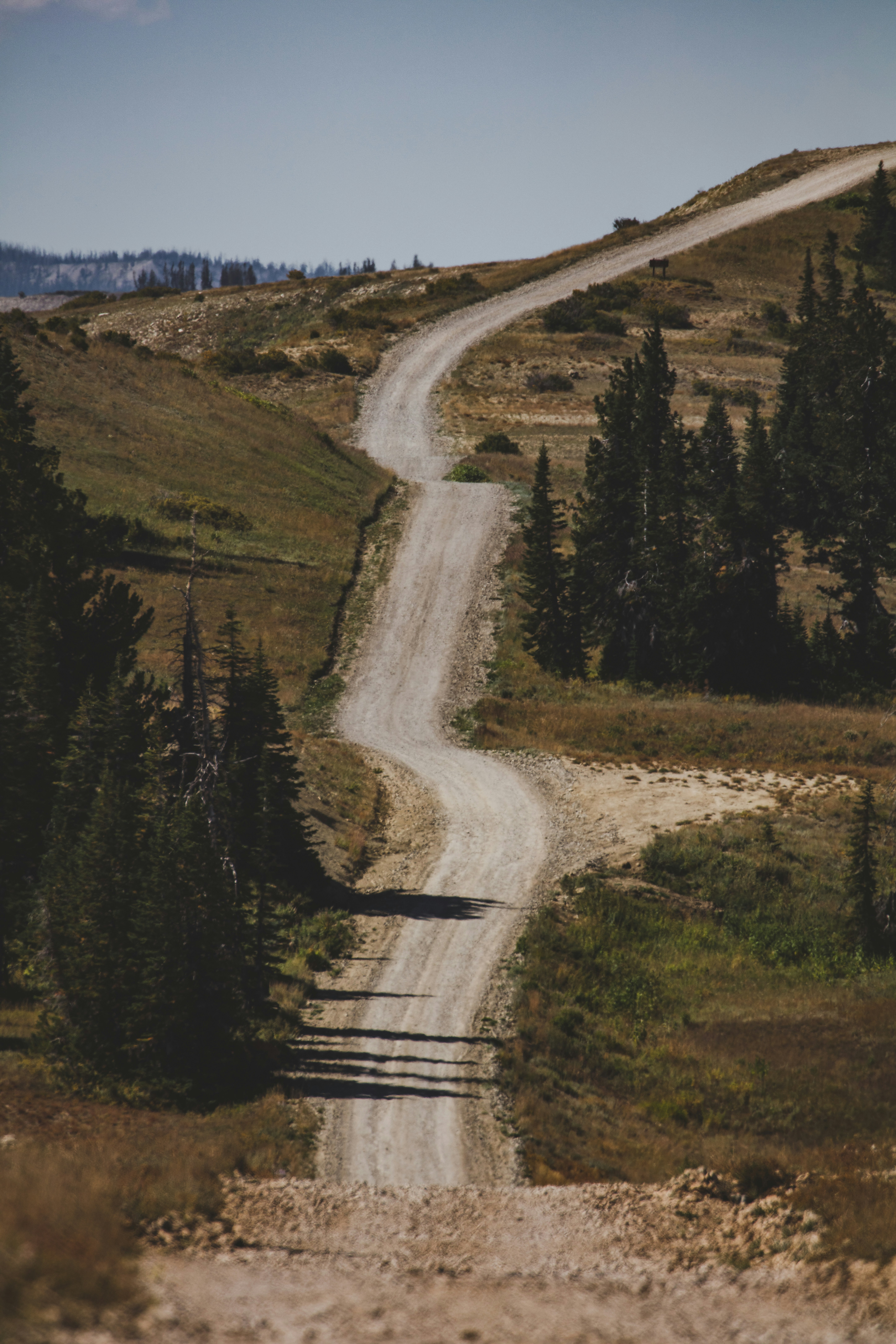 Photo by worldsbetweenlines