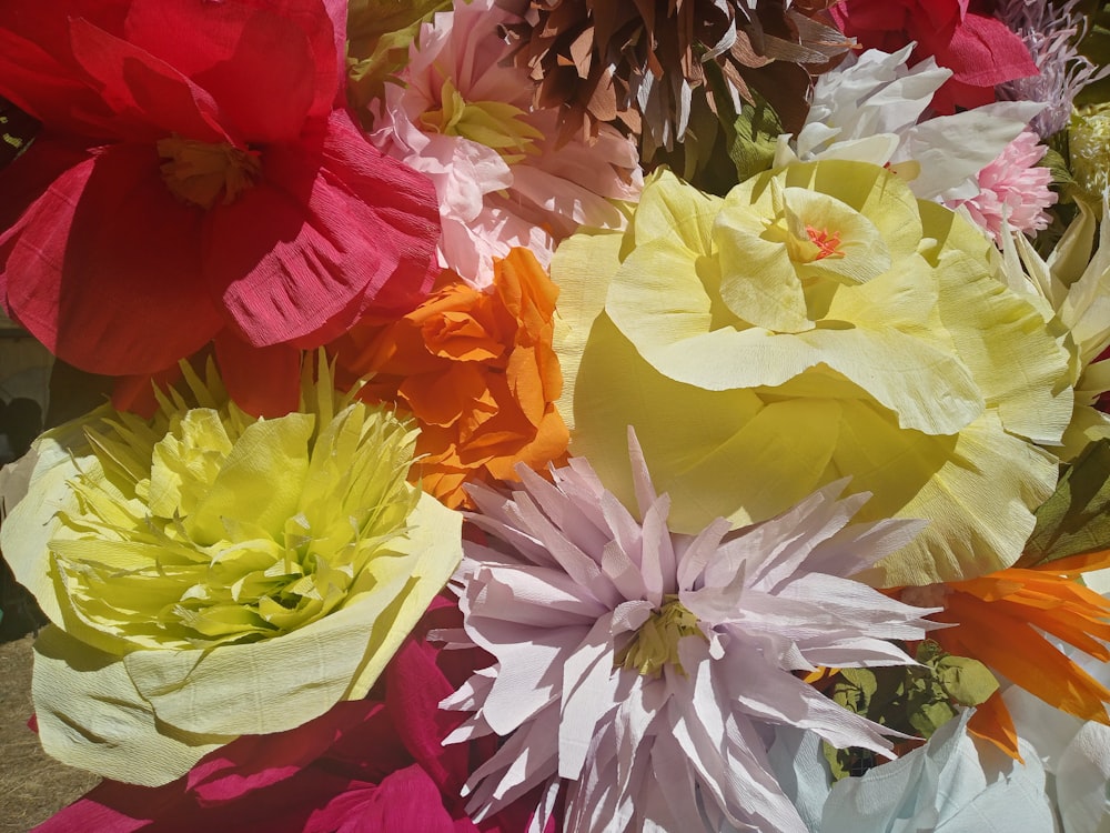 a group of colorful flowers