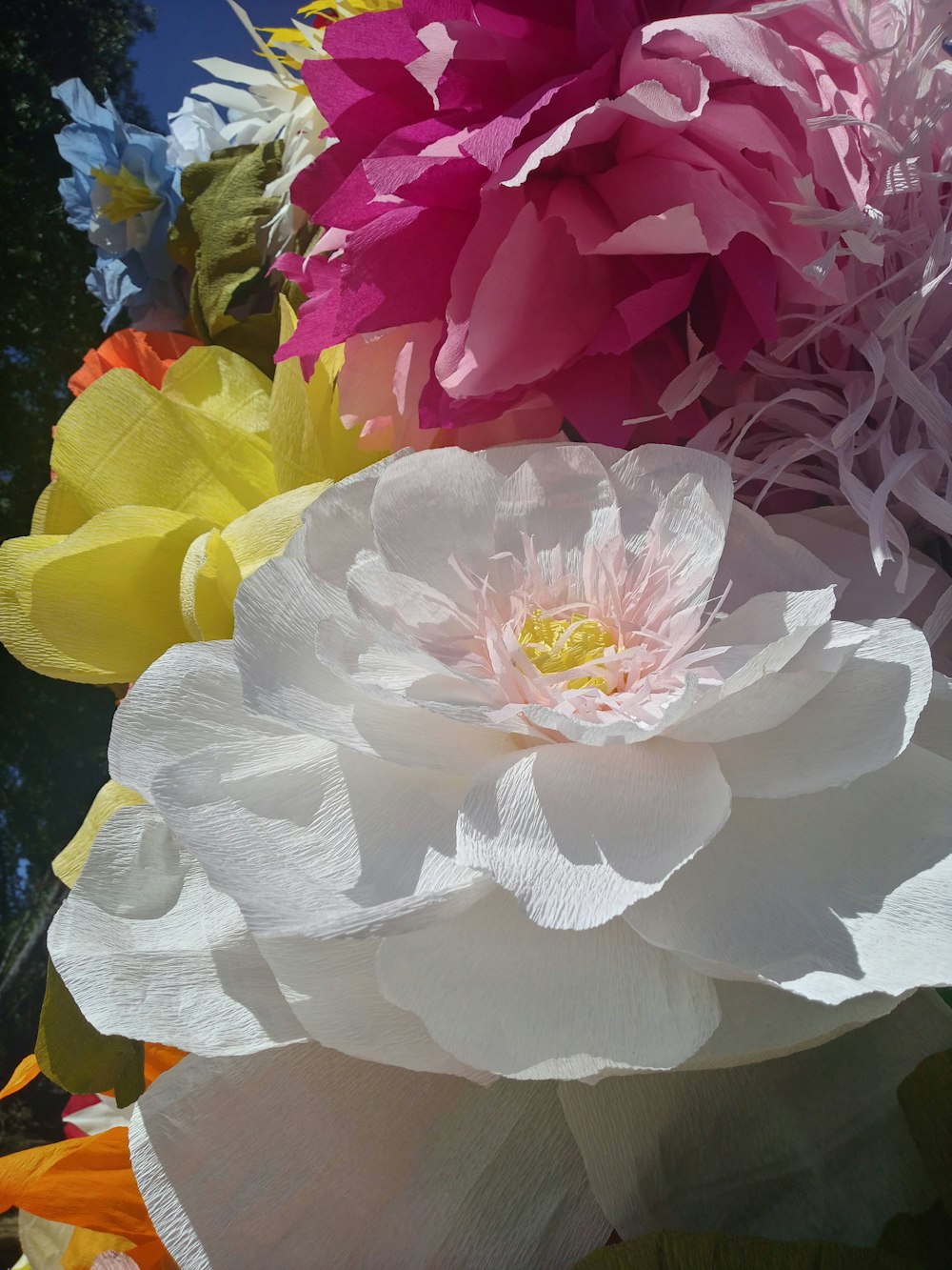 a group of flowers