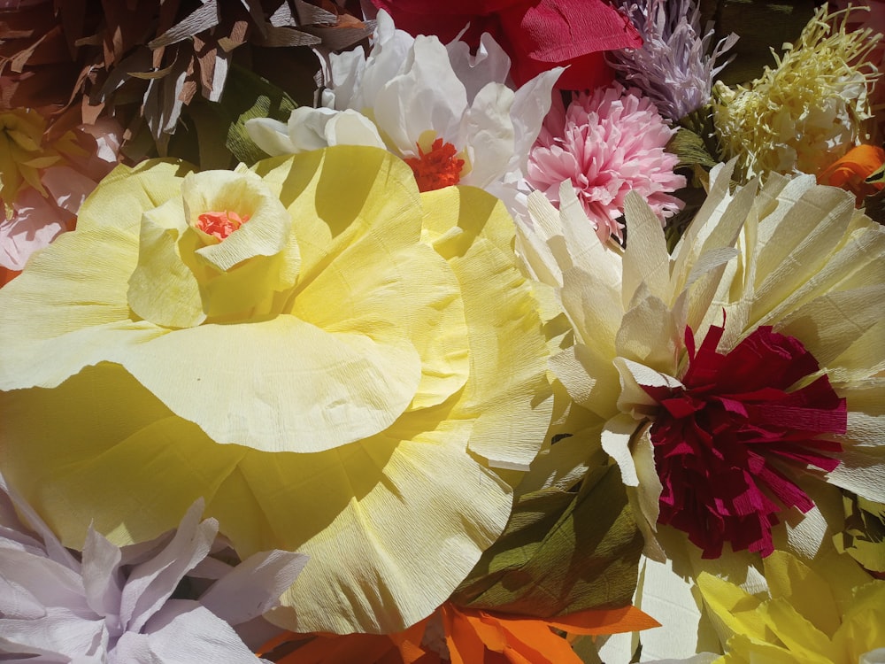 a group of colorful flowers