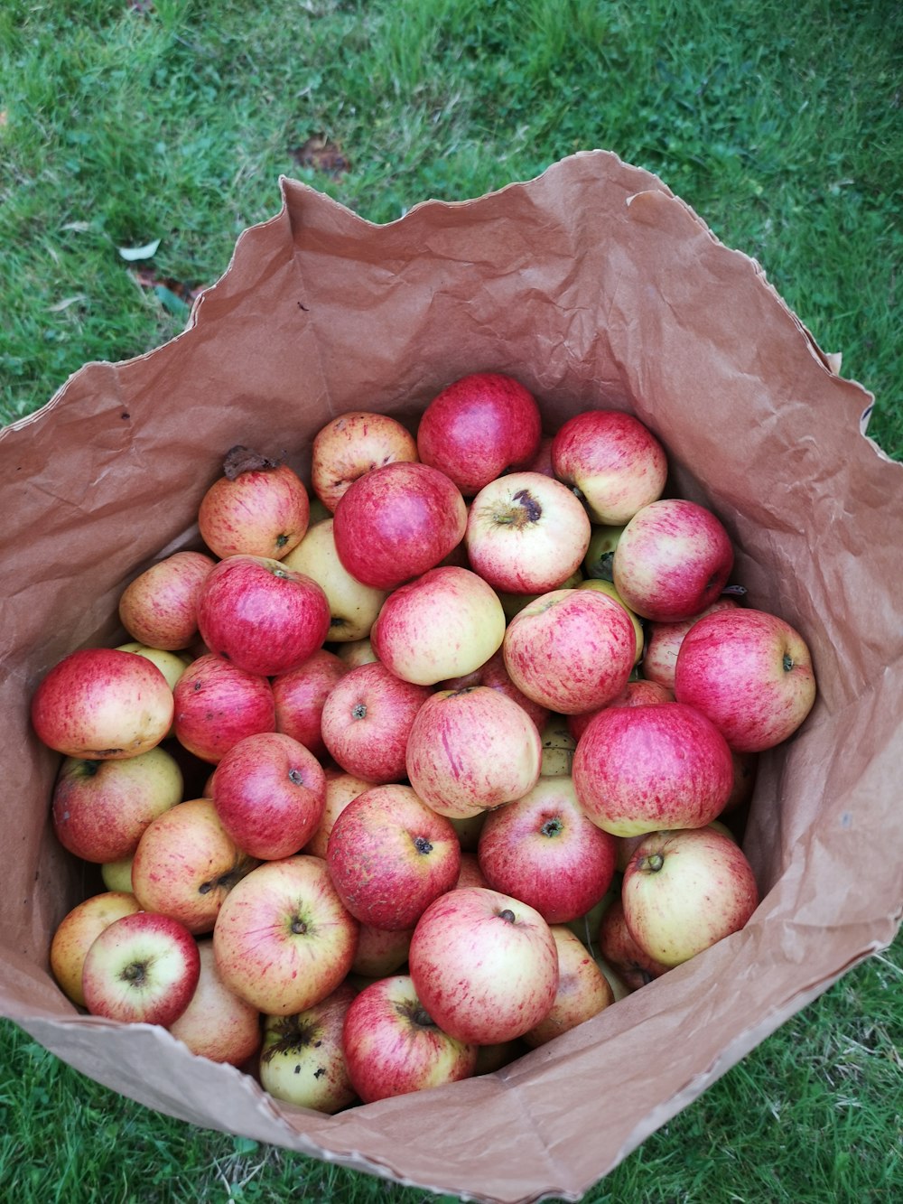 a basket of apples