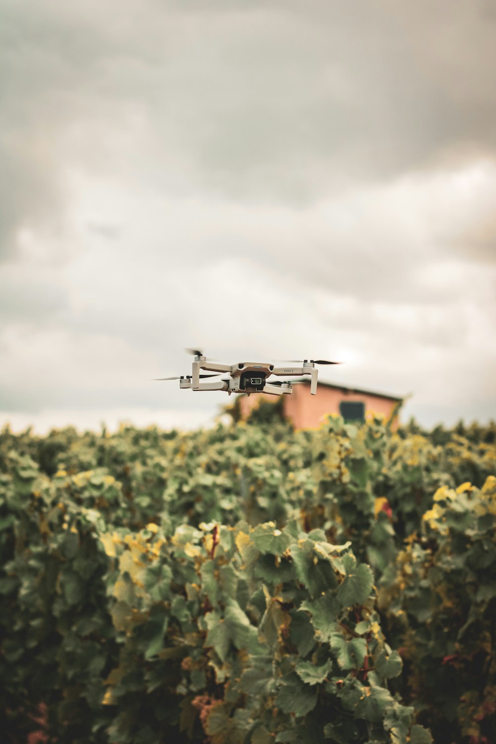 a helicopter flying over a field of flowers