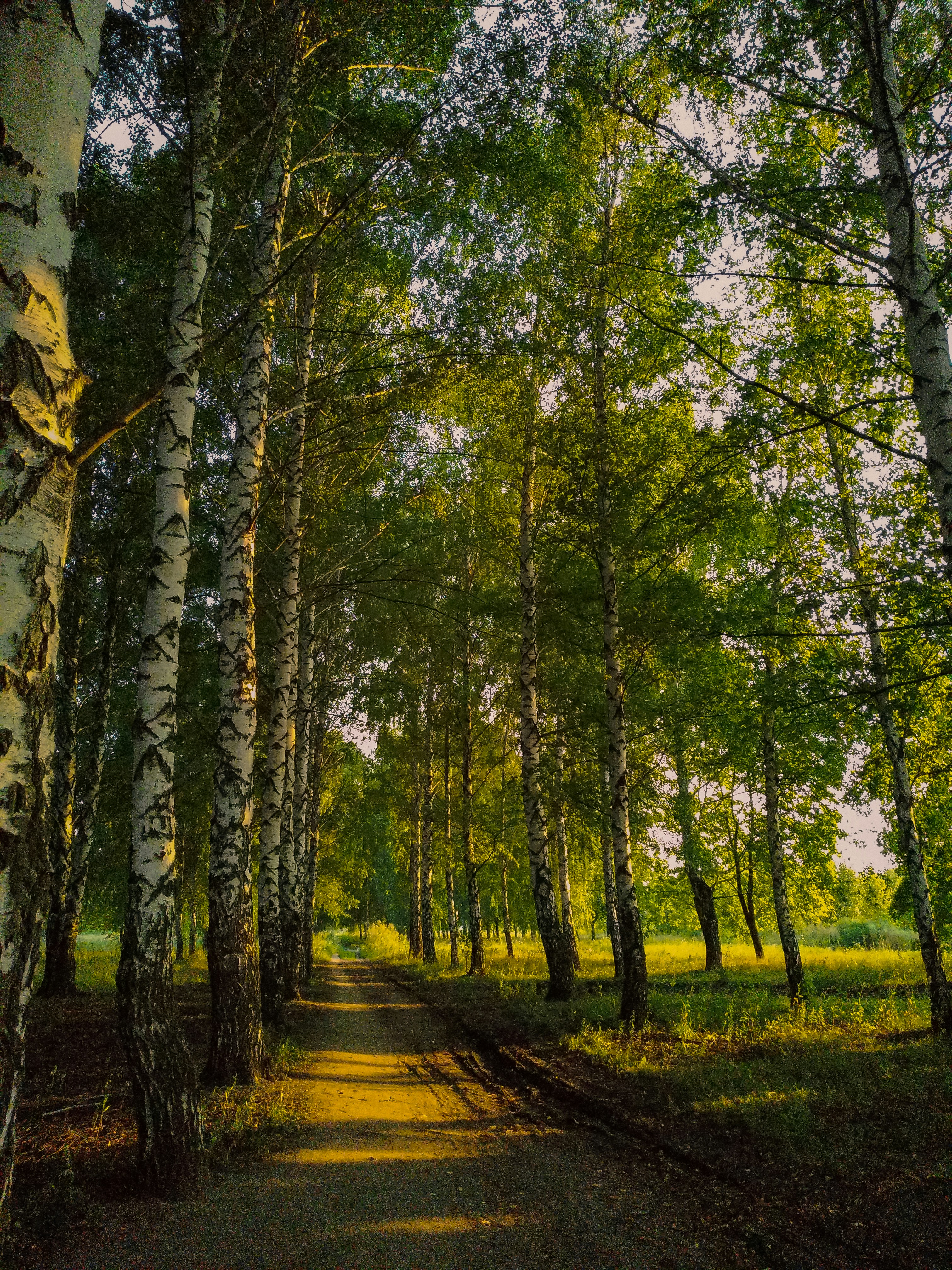 Photo by nikollrina