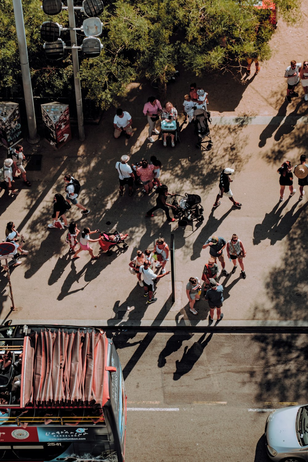 a group of people riding bicycles