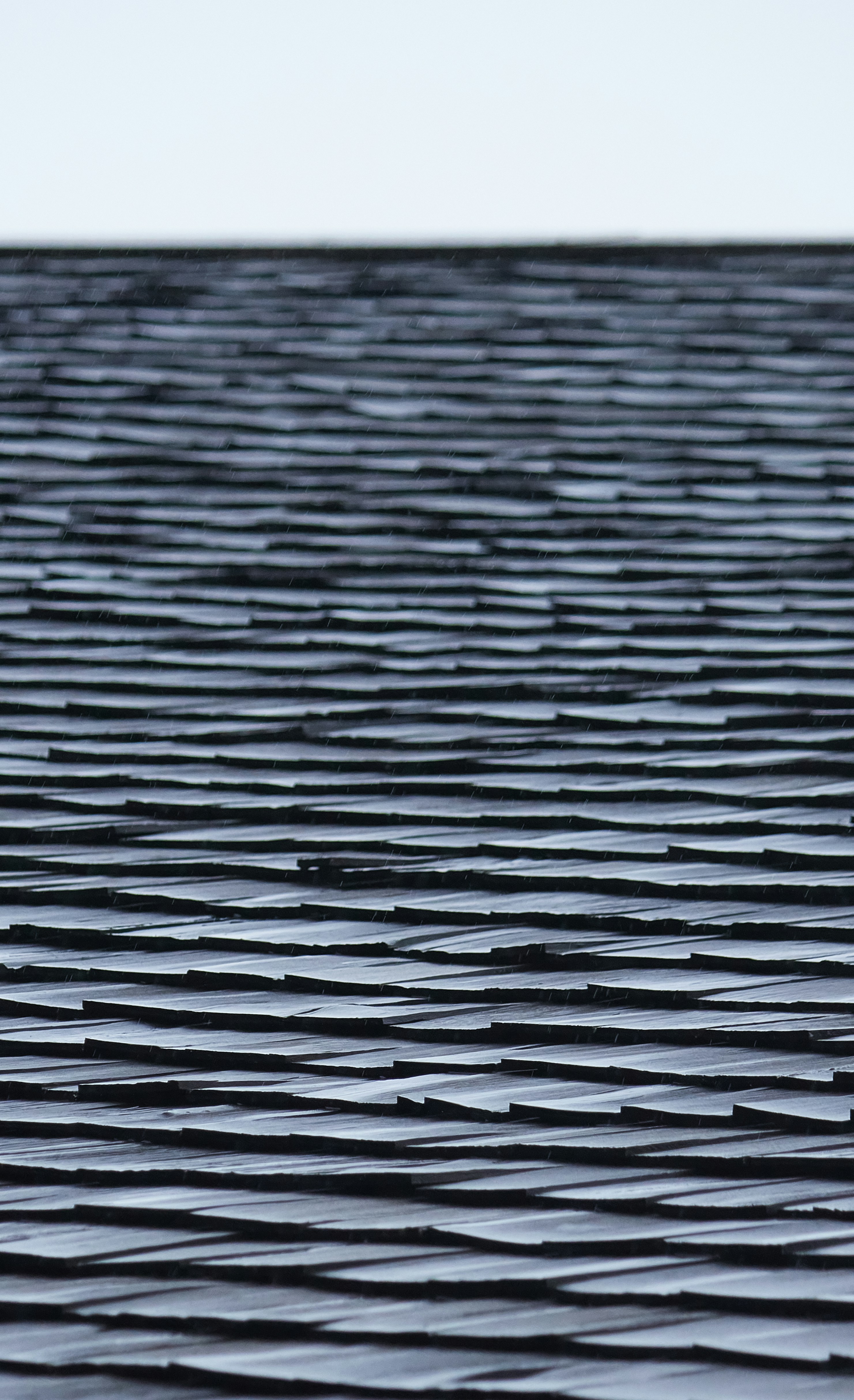 Photo by oscarsalgado