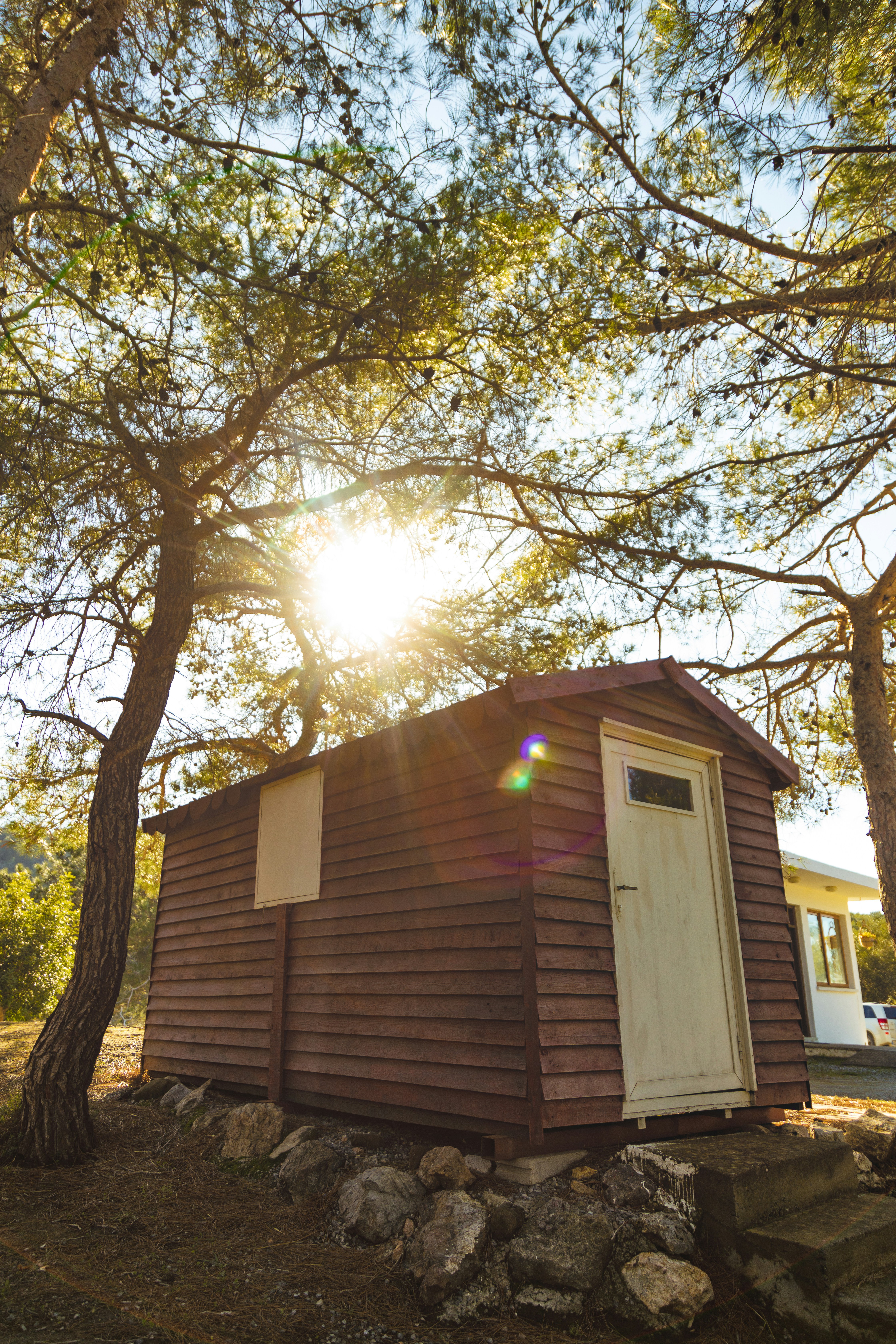 Photo by 1hundredimages