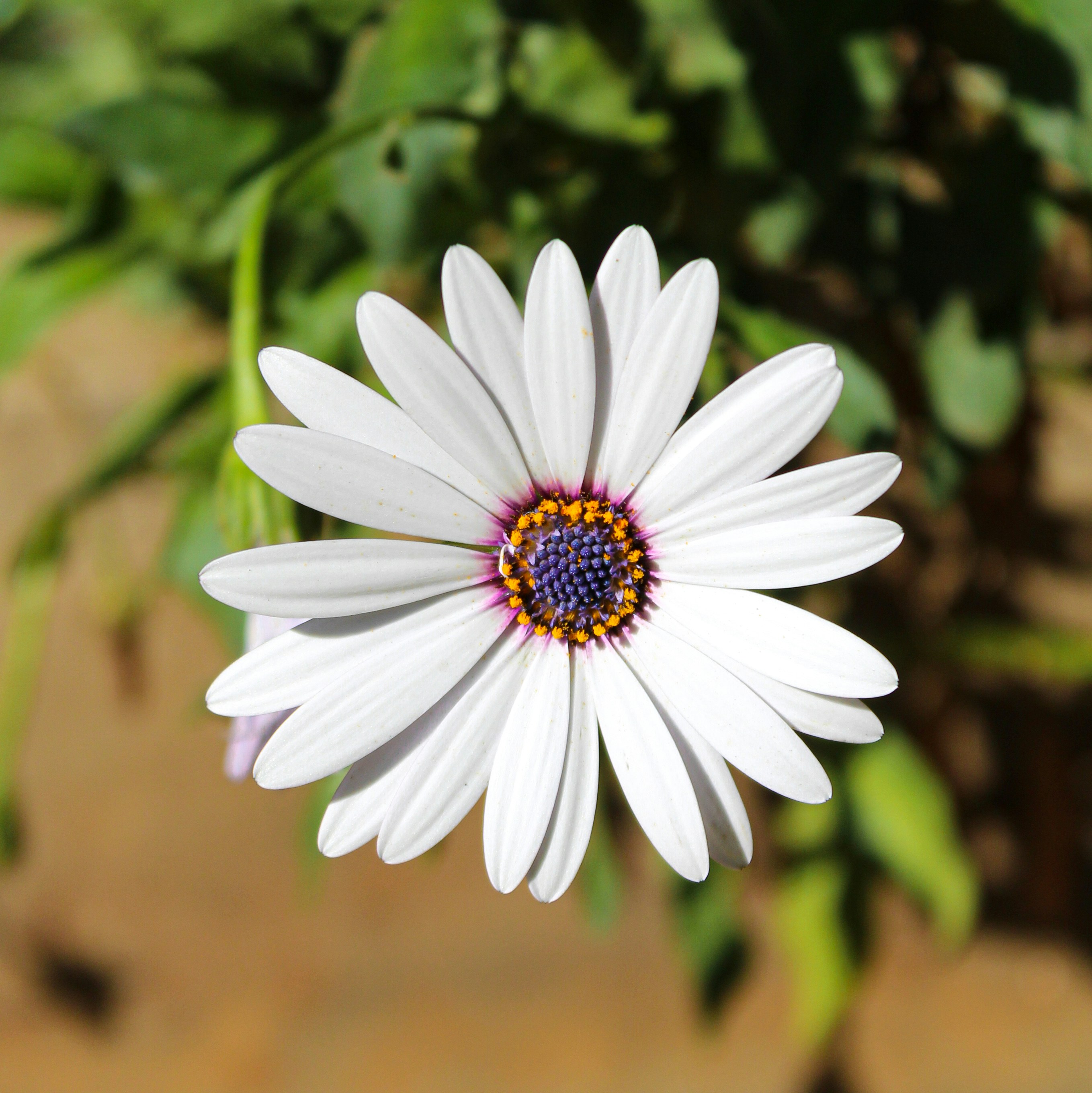 Photo by bwan_kenya
