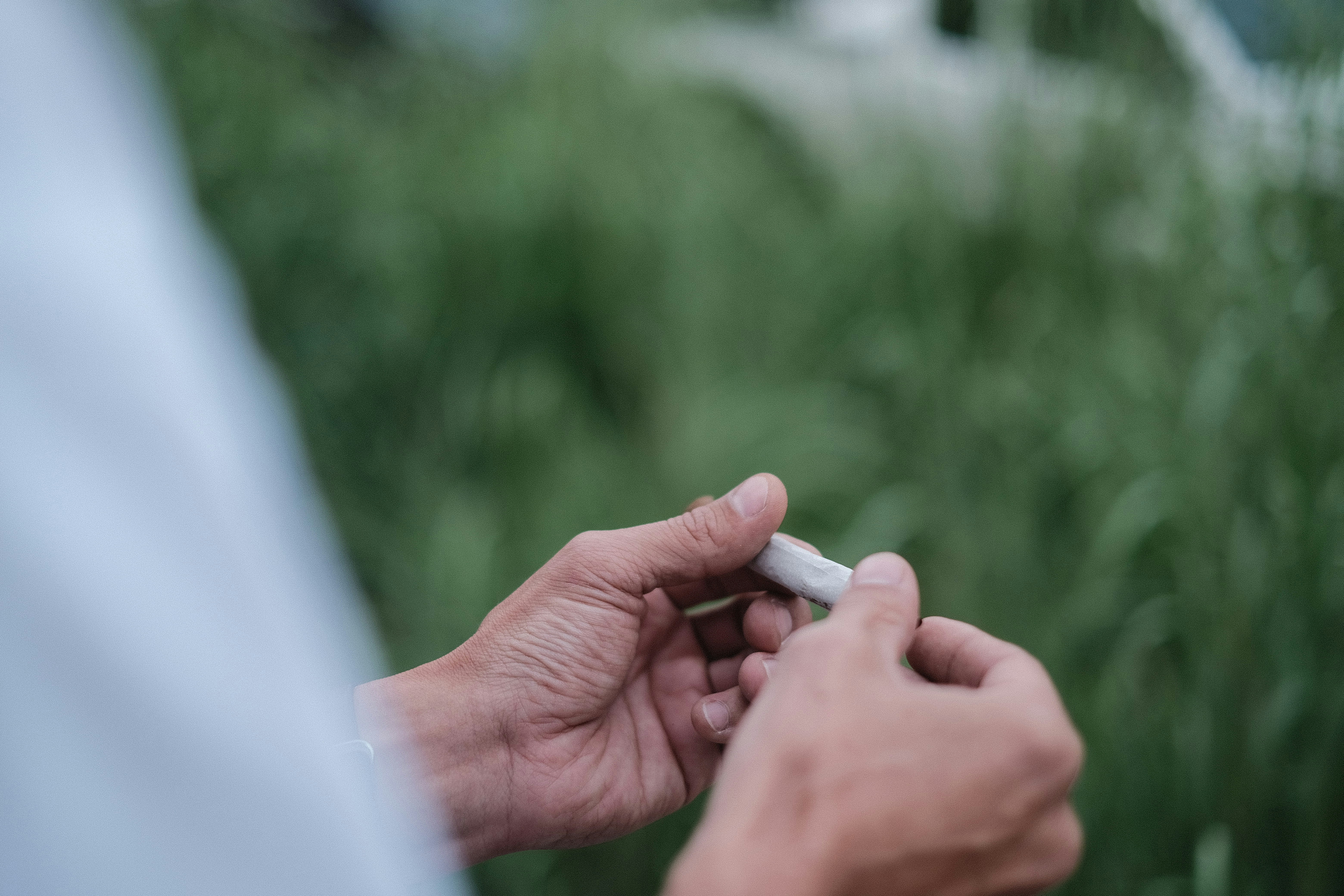 Photo by dillydallying