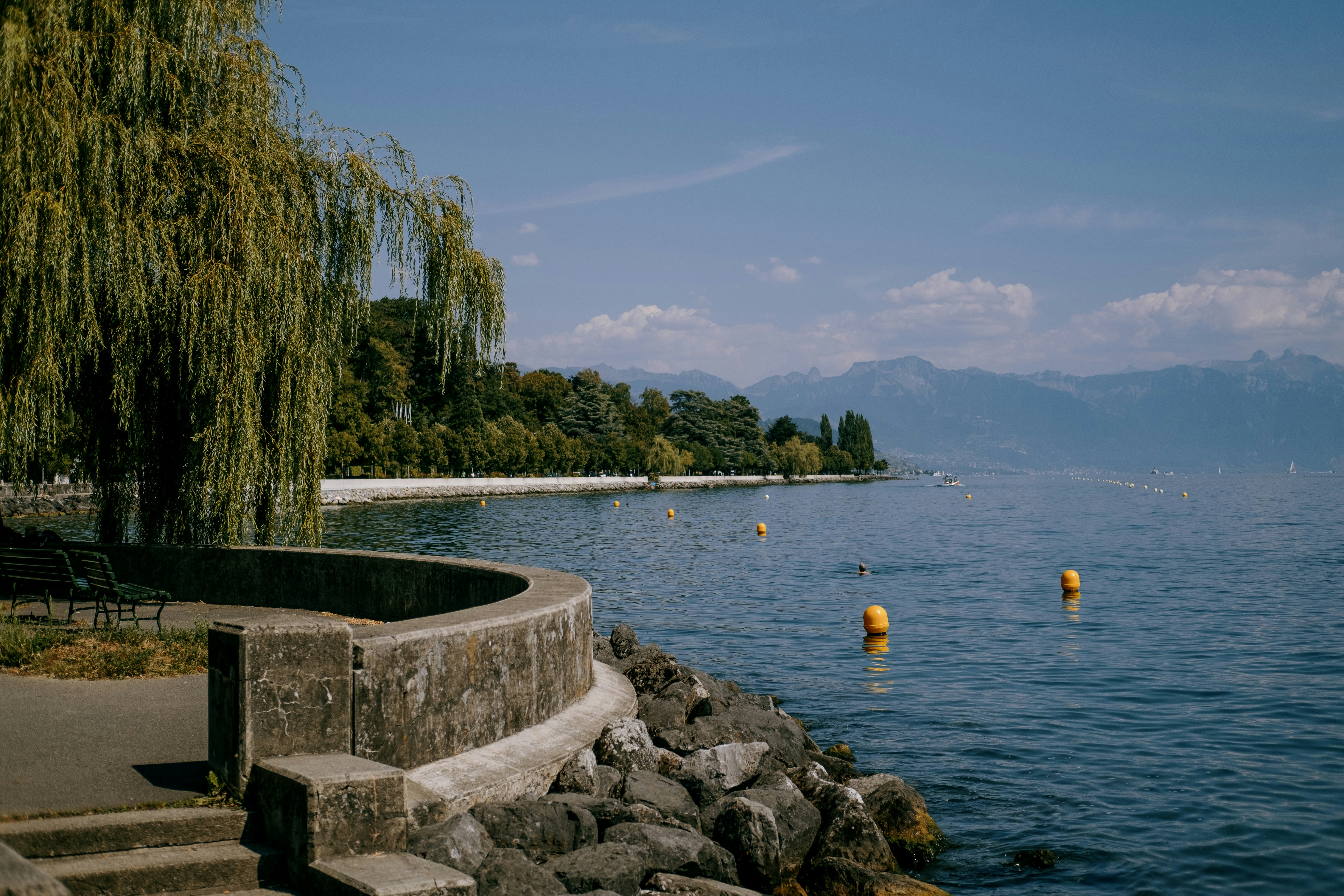 Photo by connorxwang