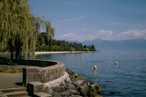 a body of water with trees and rocks around it with Isola del Garda in the background