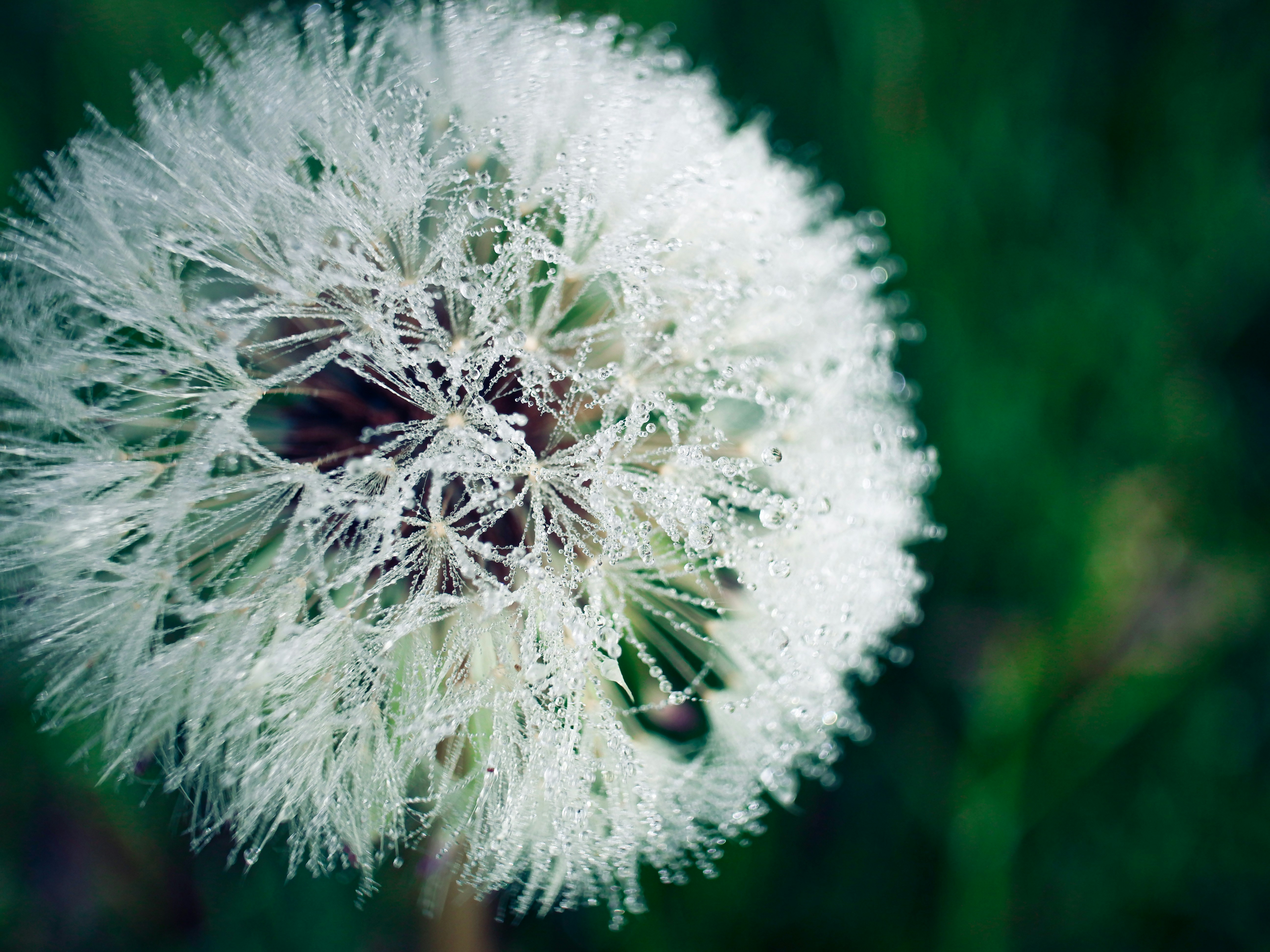 Photo by arnold_zhou