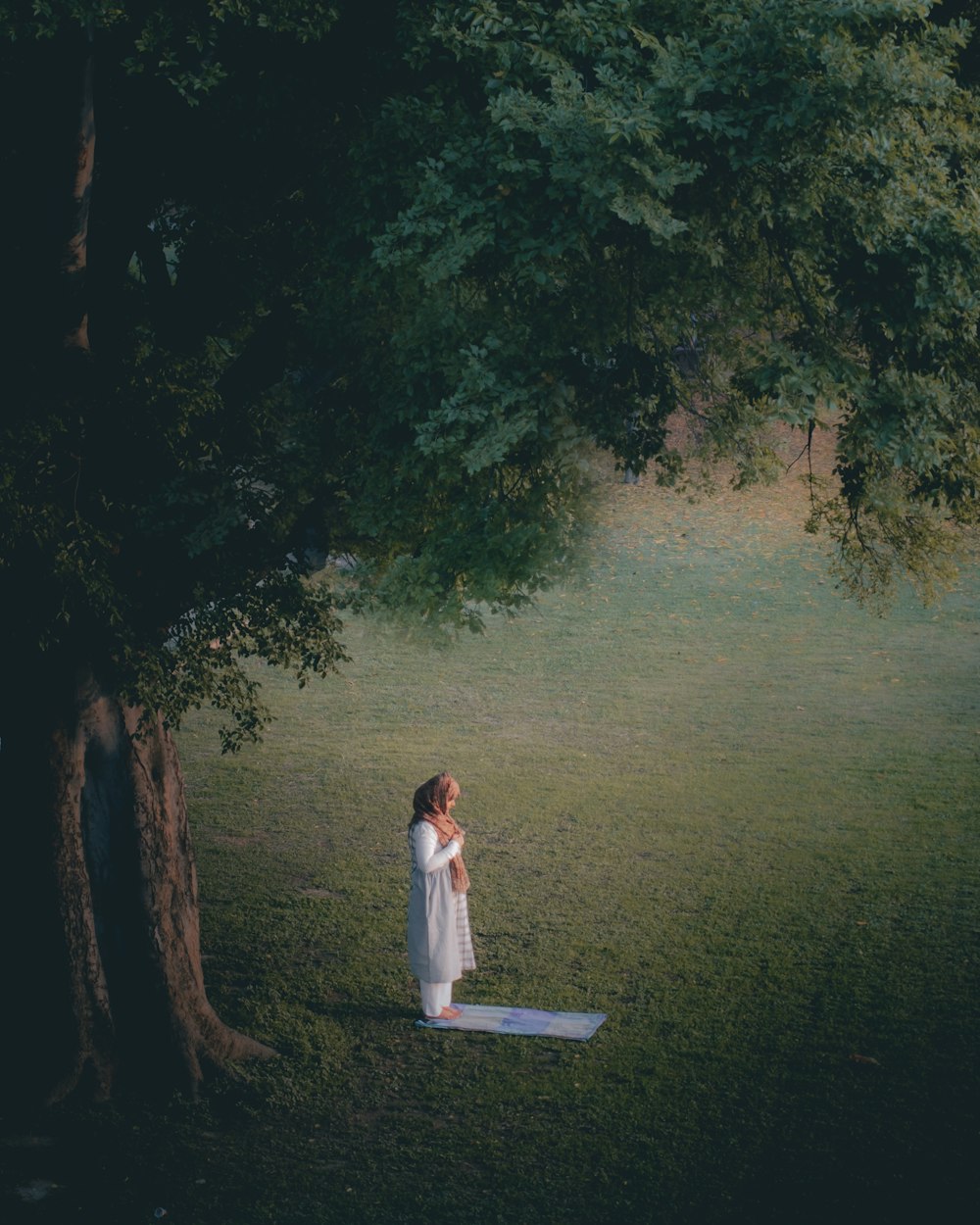 a person standing on a mat in a grassy area with trees